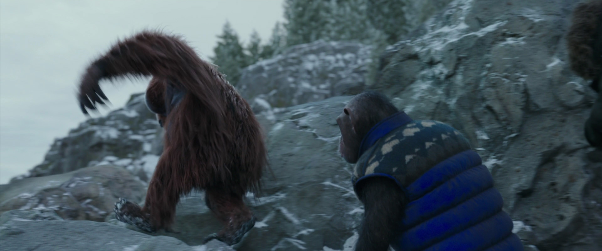 War for the Planet of the Apes (2017) screencap 11766
