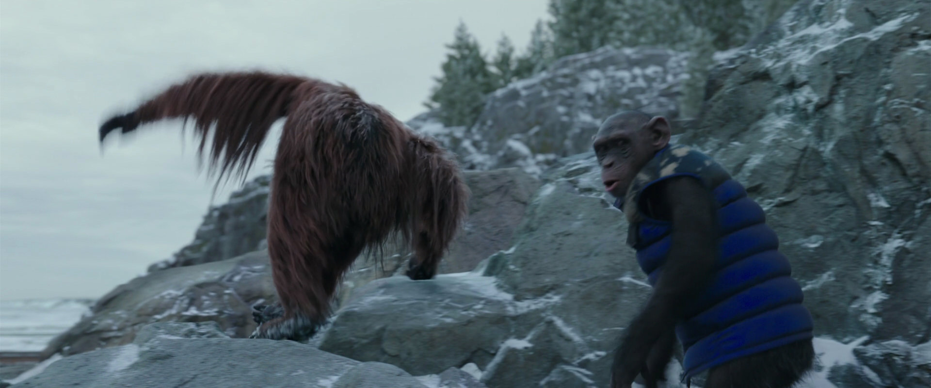 War for the Planet of the Apes (2017) movie still 11767