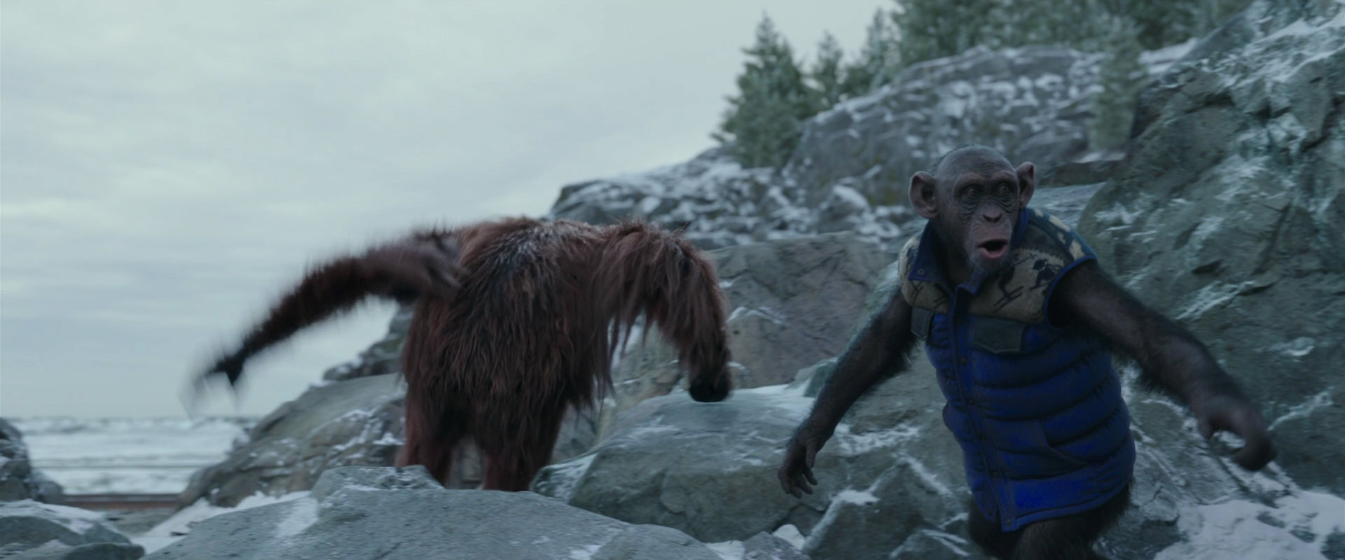 War for the Planet of the Apes (2017) HD screenshot 11768