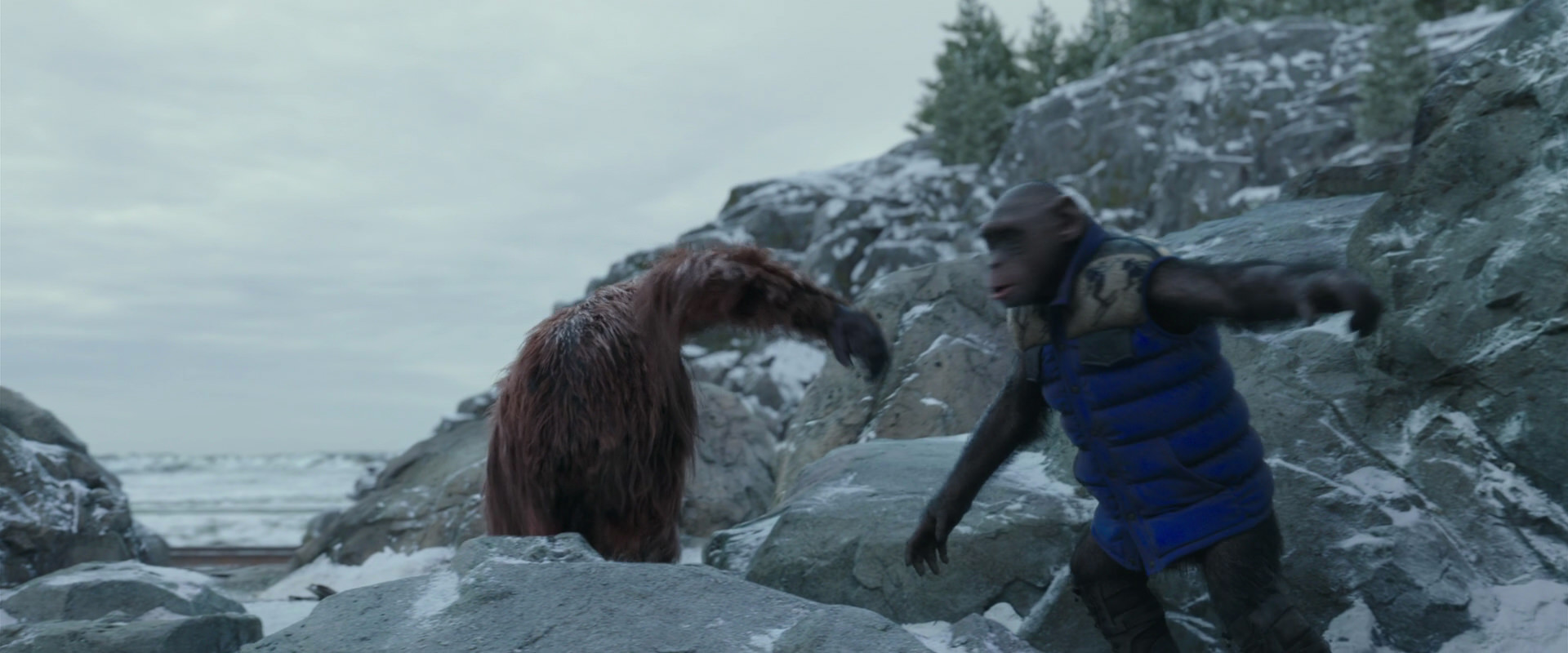 War for the Planet of the Apes (2017) screencap 11769