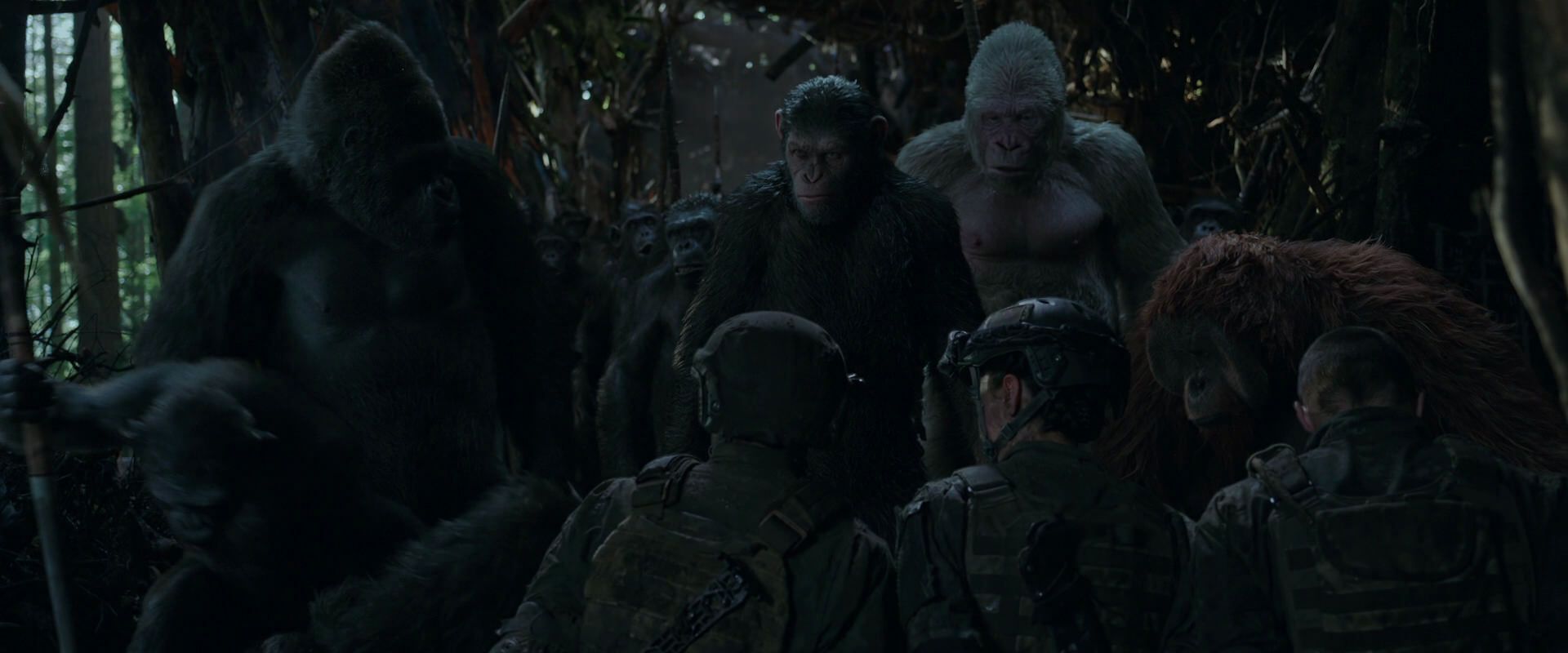War for the Planet of the Apes (2017) movie still 1177