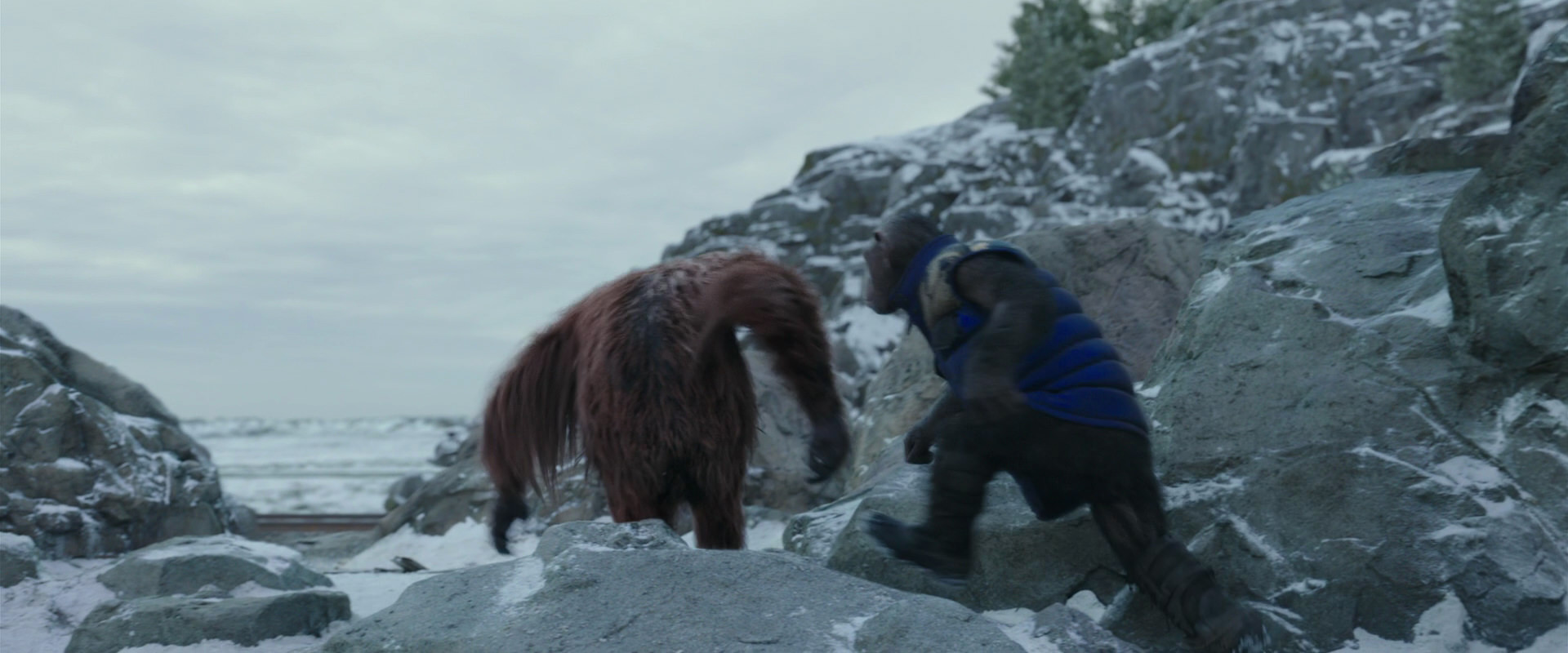 War for the Planet of the Apes (2017) movie still 11770
