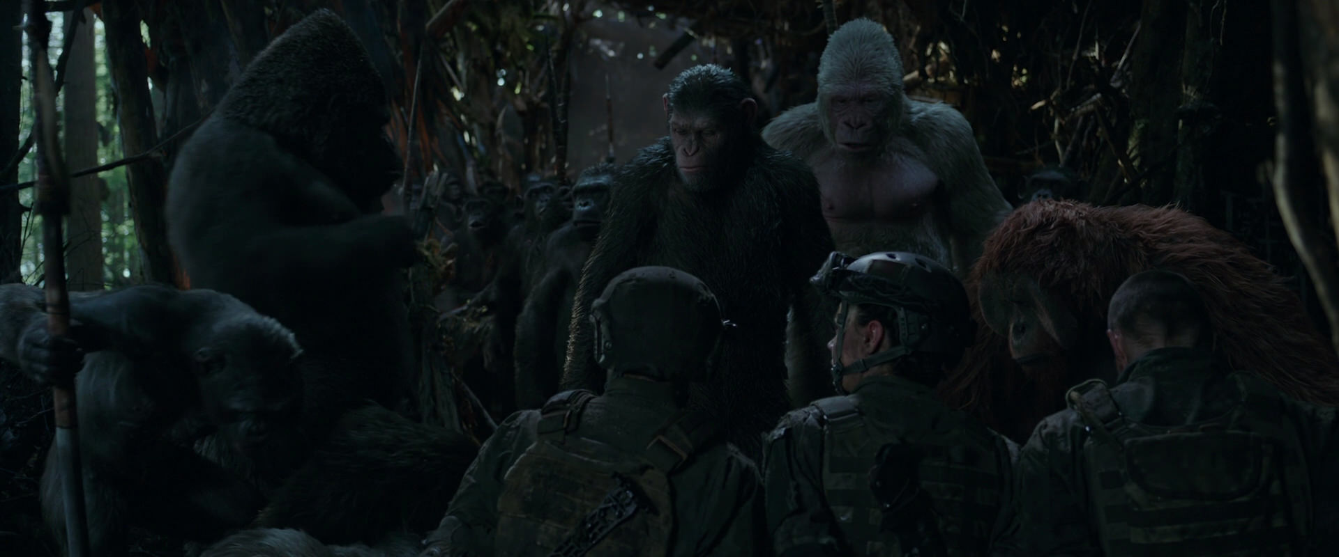 War for the Planet of the Apes (2017) HD screenshot 1178