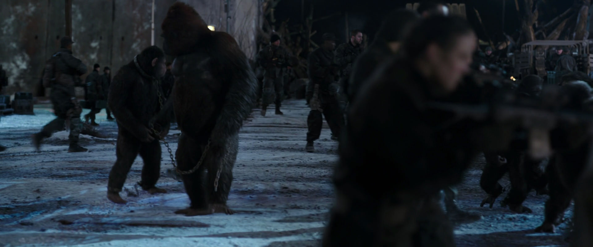 War for the Planet of the Apes (2017) movie still 11782