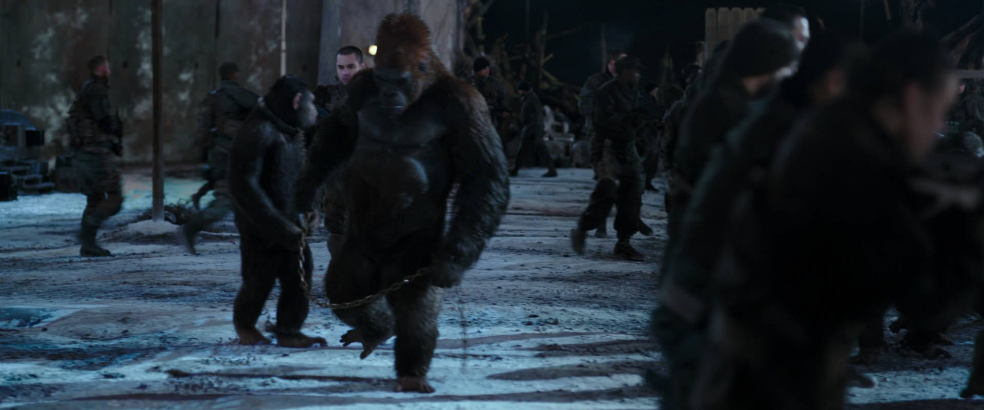 War for the Planet of the Apes (2017) HD screenshot 11783