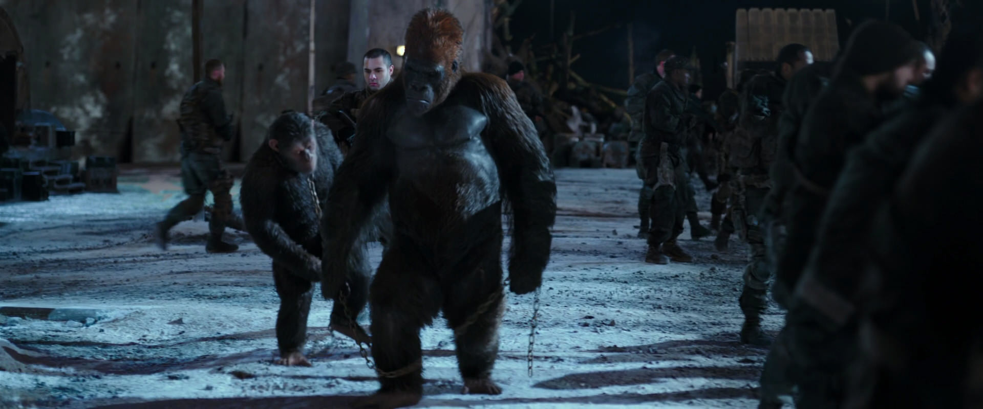 War for the Planet of the Apes (2017) screencap 11784