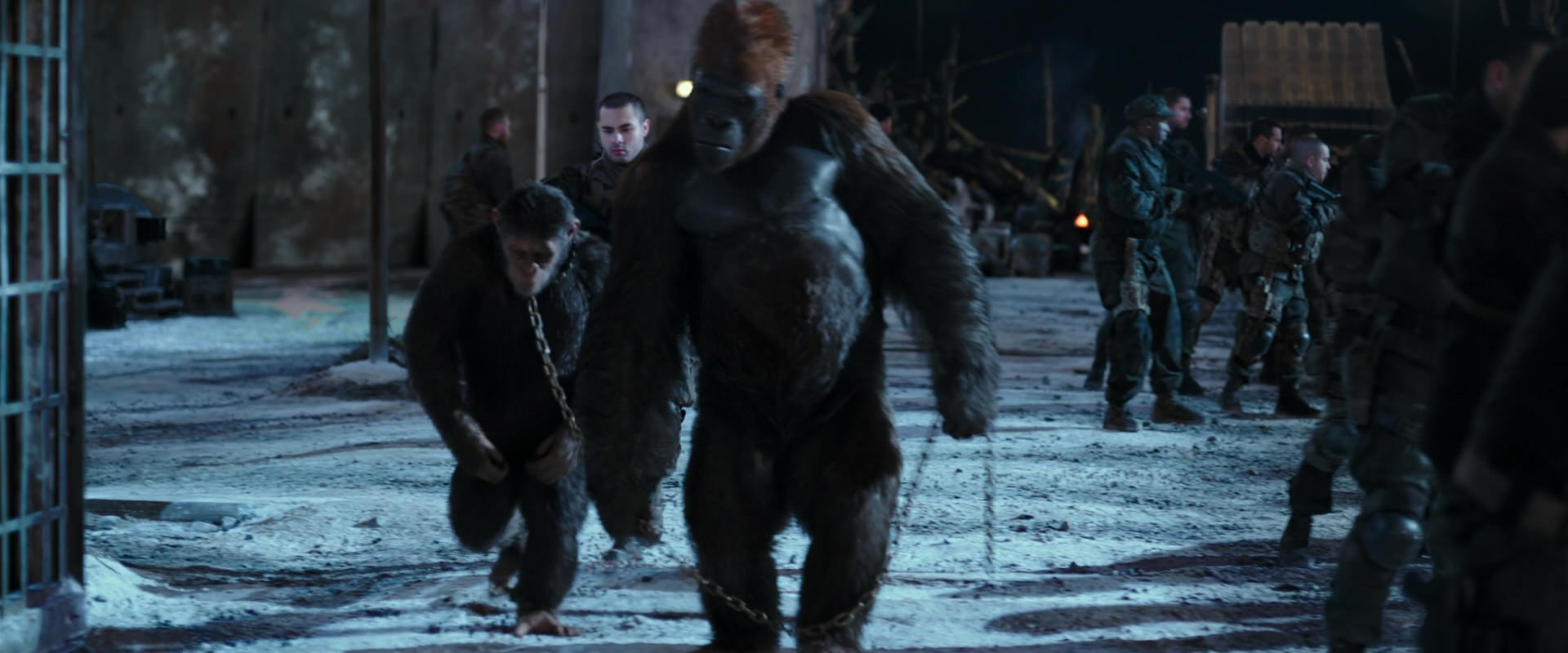 War for the Planet of the Apes (2017) movie still 11785