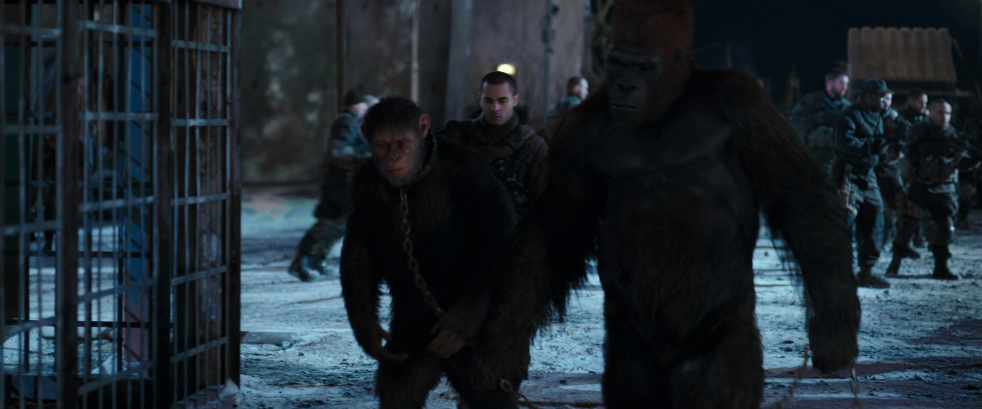 War for the Planet of the Apes (2017) movie still 11788