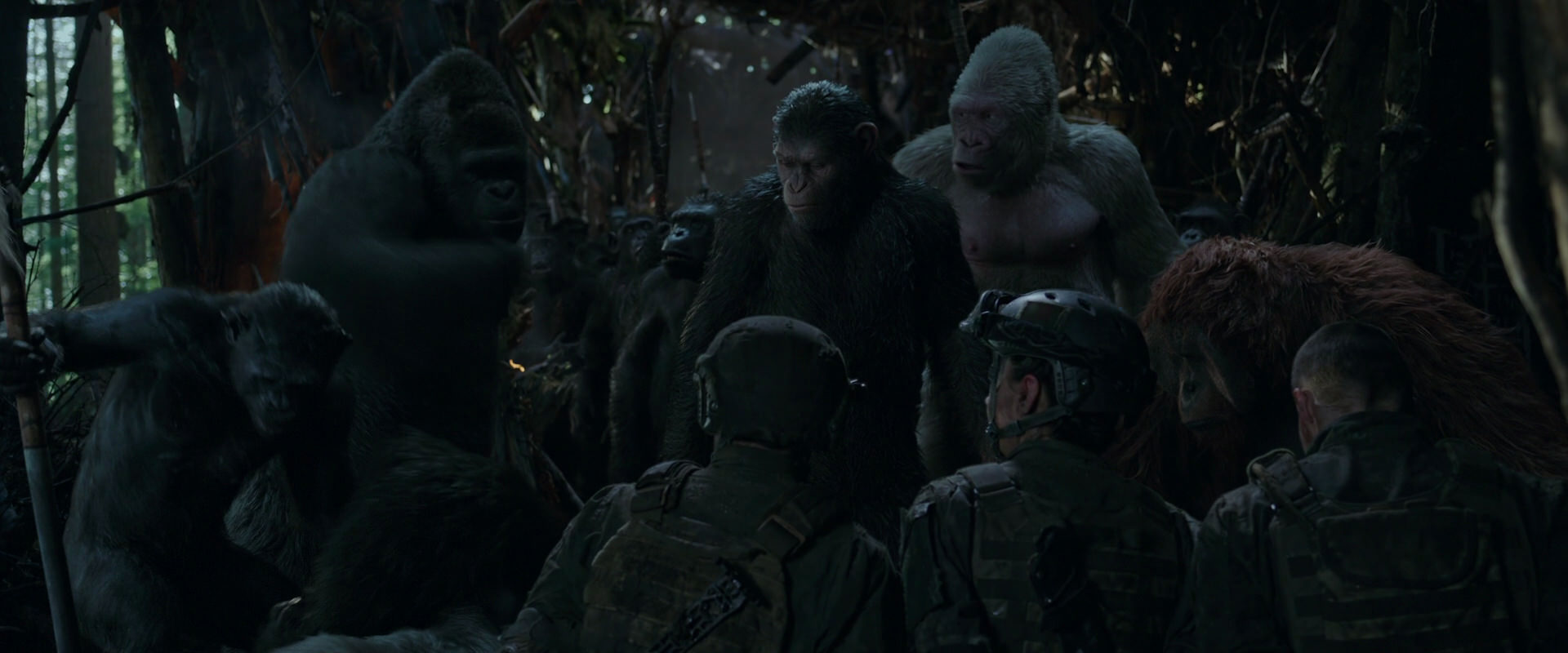 War for the Planet of the Apes (2017) screencap 1179