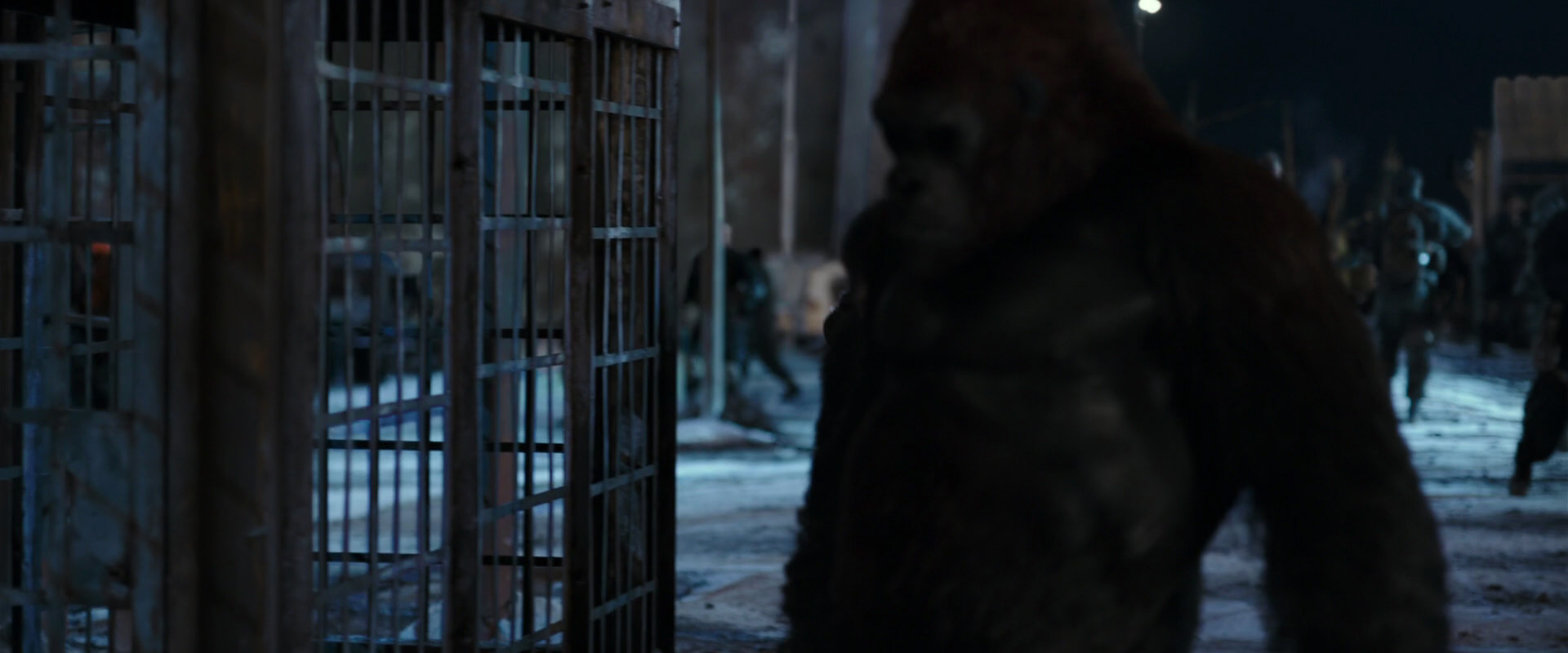 War for the Planet of the Apes (2017) movie still 11791