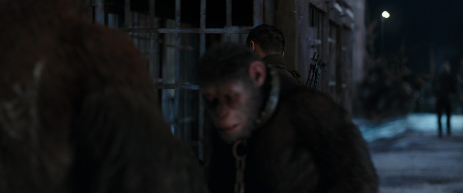 War for the Planet of the Apes (2017) movie still 11797