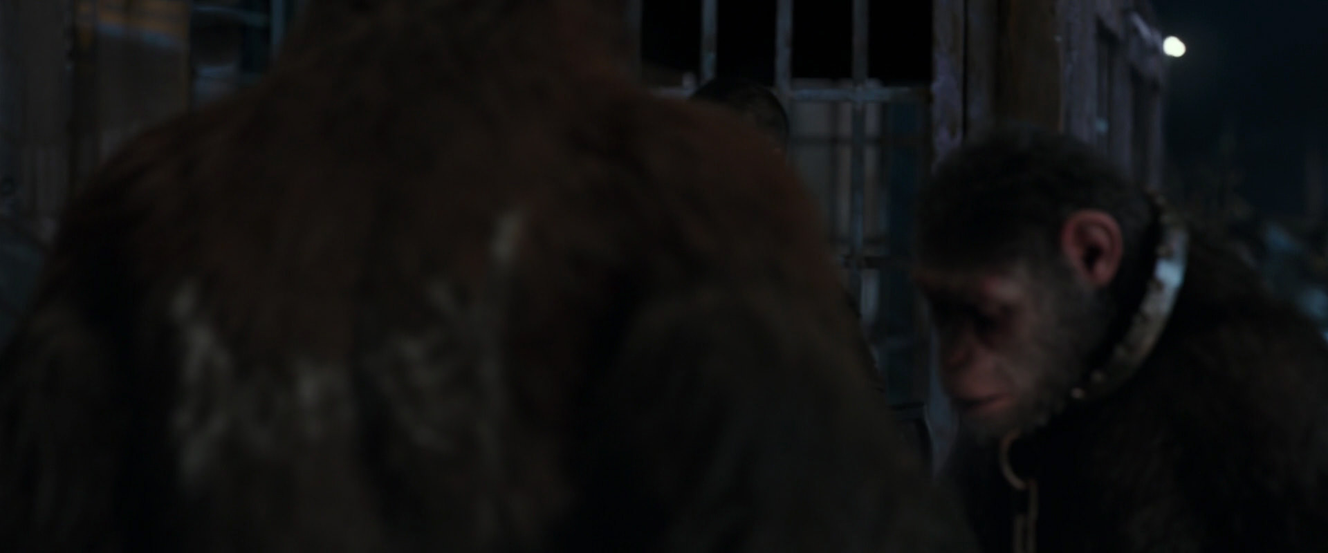 War for the Planet of the Apes (2017) screencap 11799