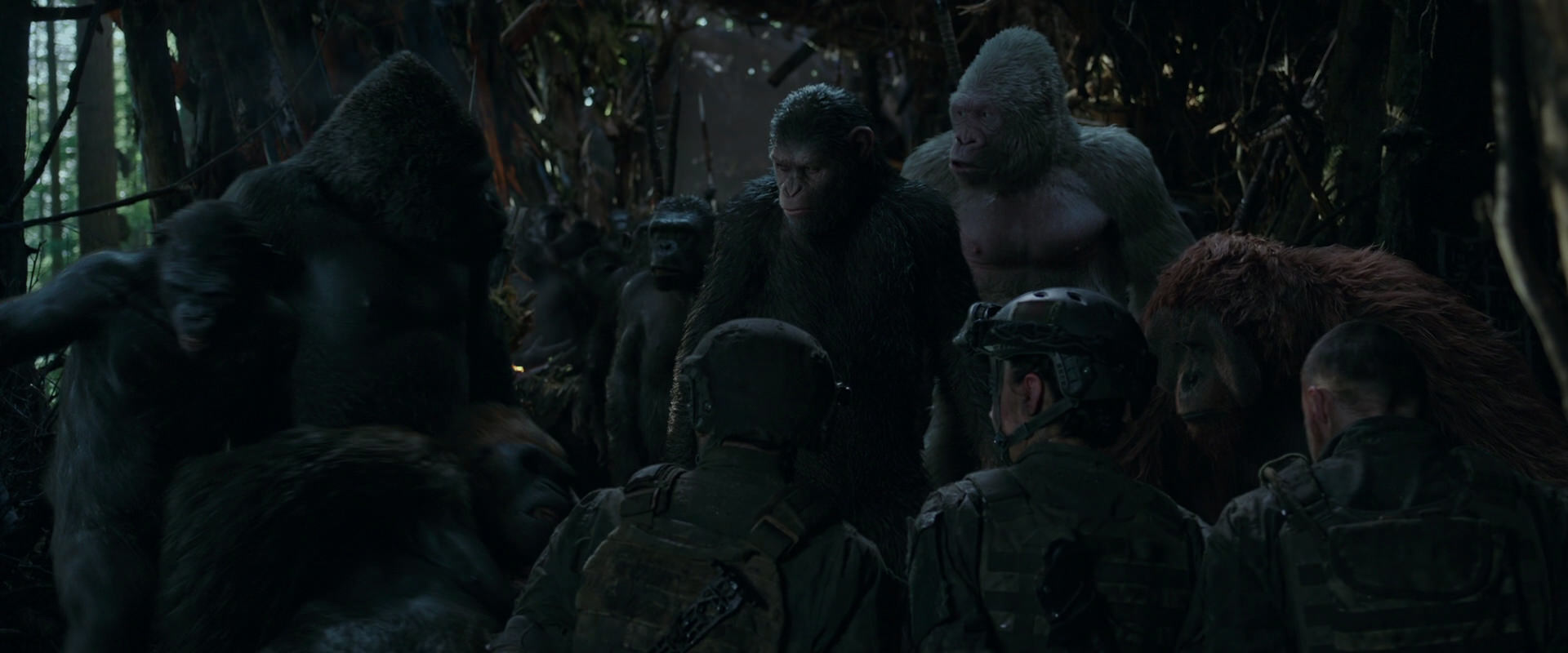 War for the Planet of the Apes (2017) movie still 1180