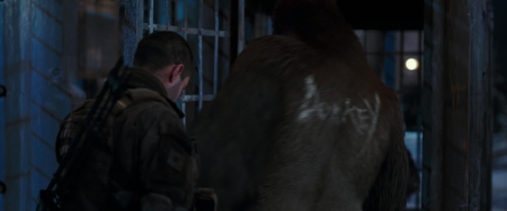 War for the Planet of the Apes (2017) screencap 11805