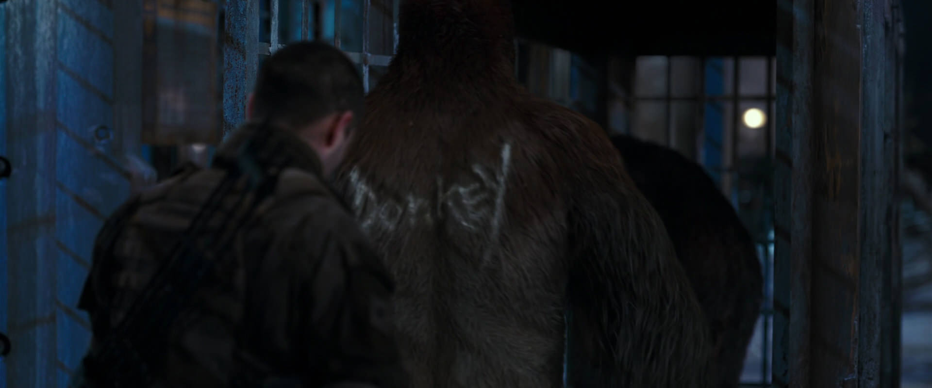 War for the Planet of the Apes (2017) movie still 11806