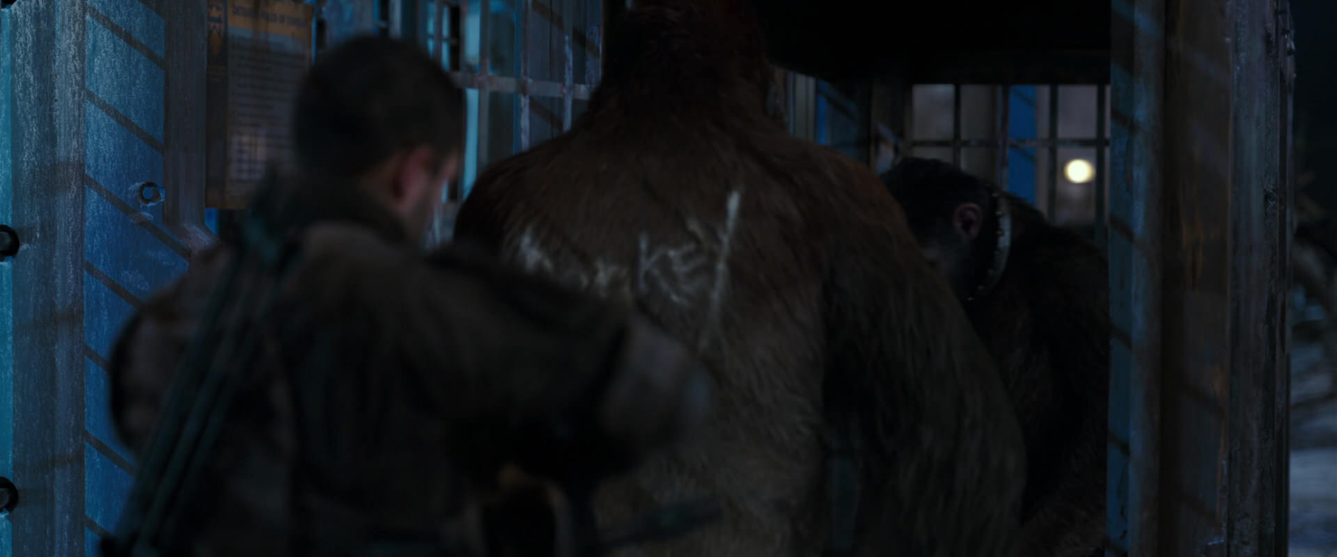 War for the Planet of the Apes (2017) HD screenshot 11810