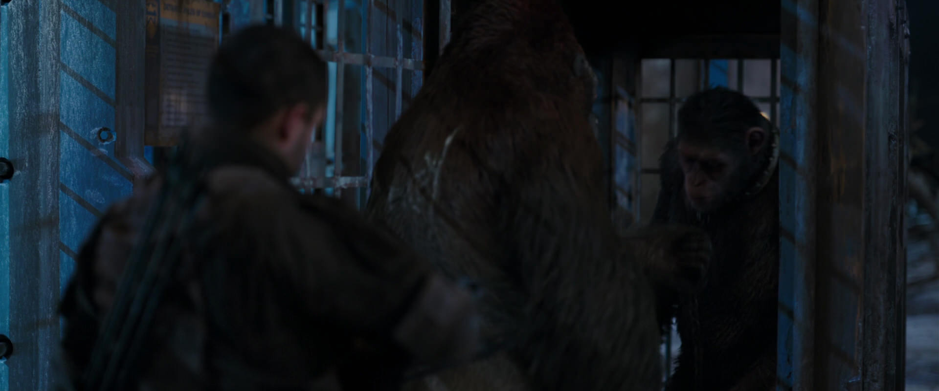 War for the Planet of the Apes (2017) screencap 11811