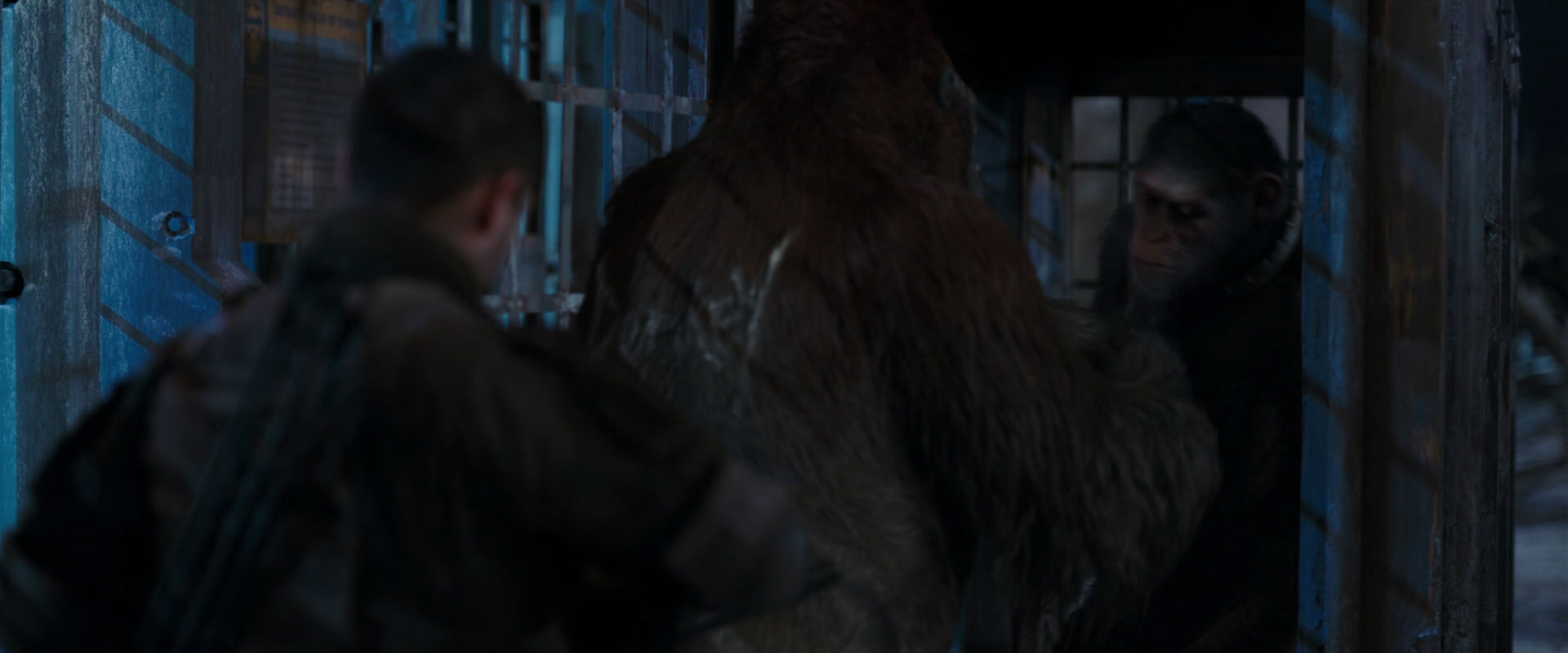 War for the Planet of the Apes (2017) movie still 11812