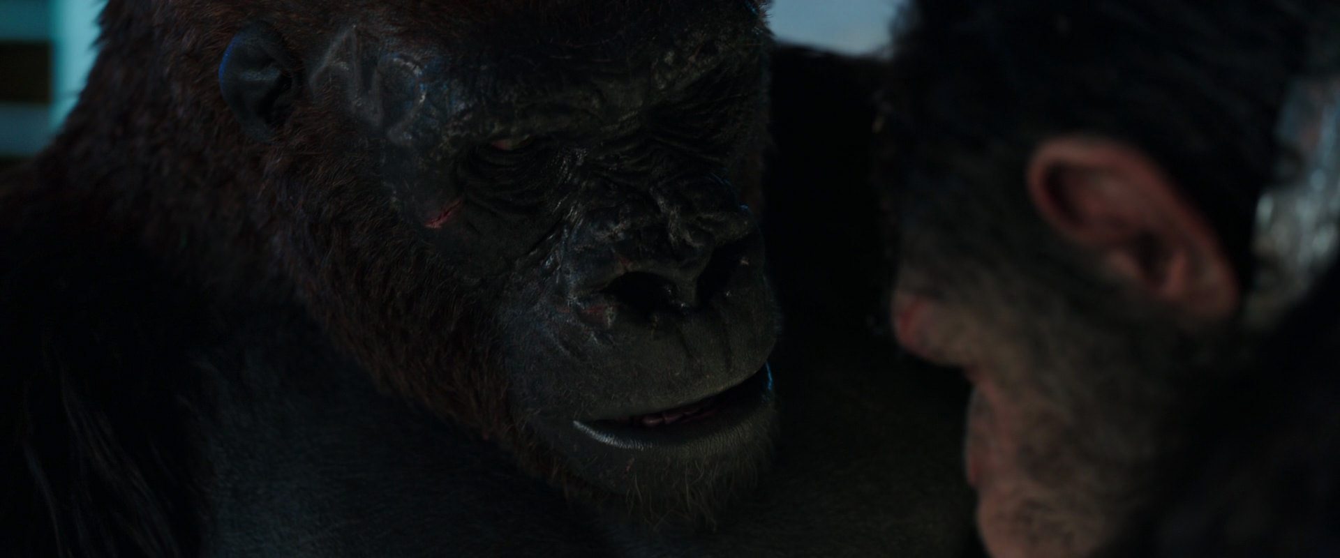 War for the Planet of the Apes (2017) screencap 11814