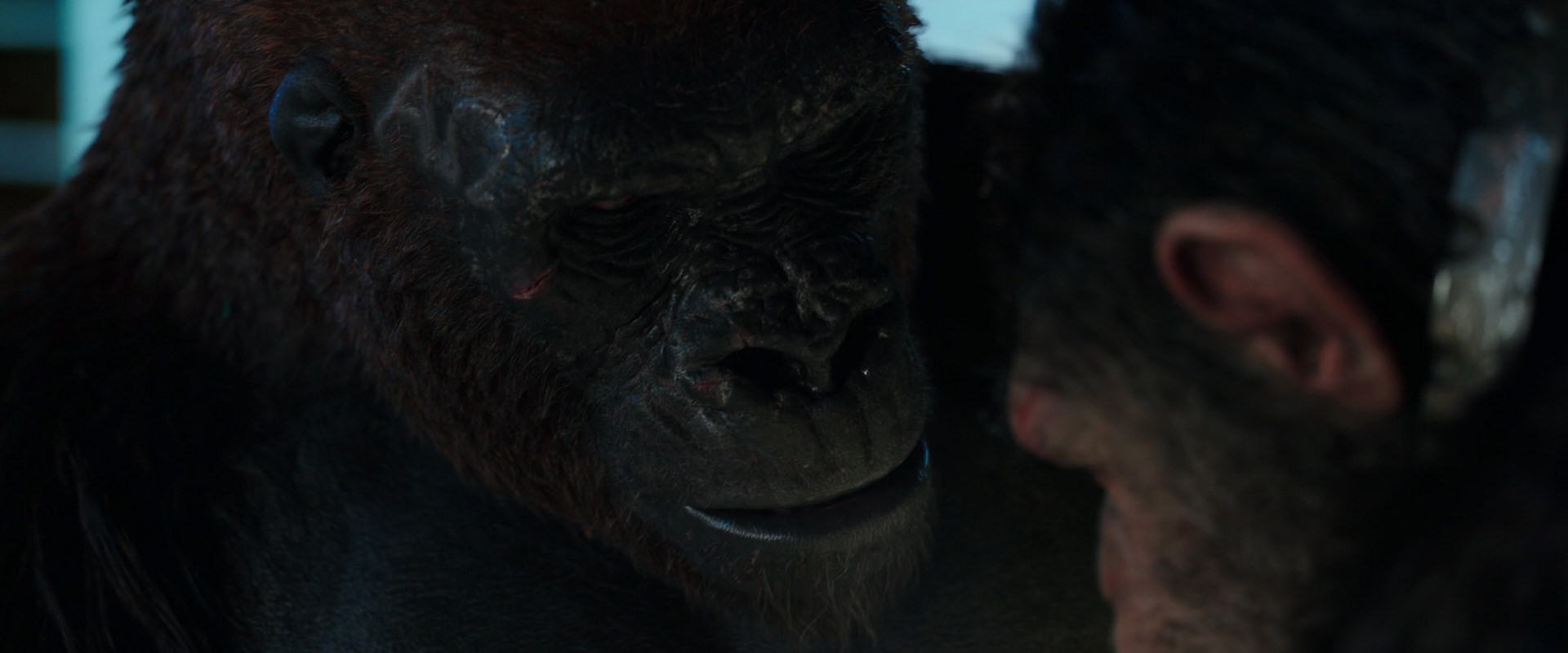 War for the Planet of the Apes (2017) movie still 11815