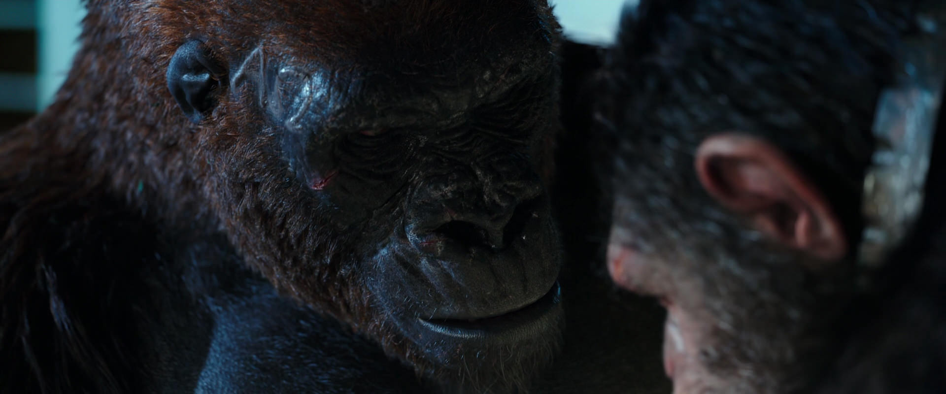 War for the Planet of the Apes (2017) HD screenshot 11816