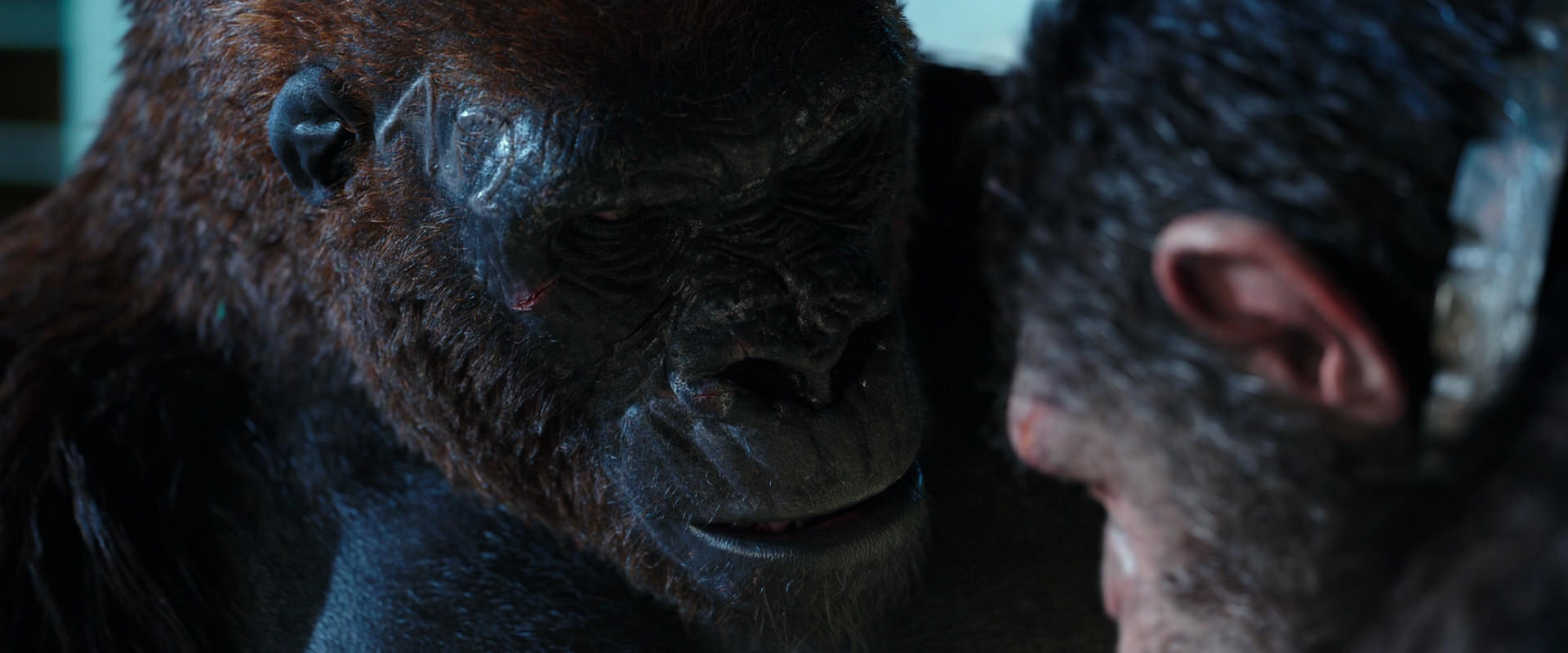 War for the Planet of the Apes (2017) screencap 11817