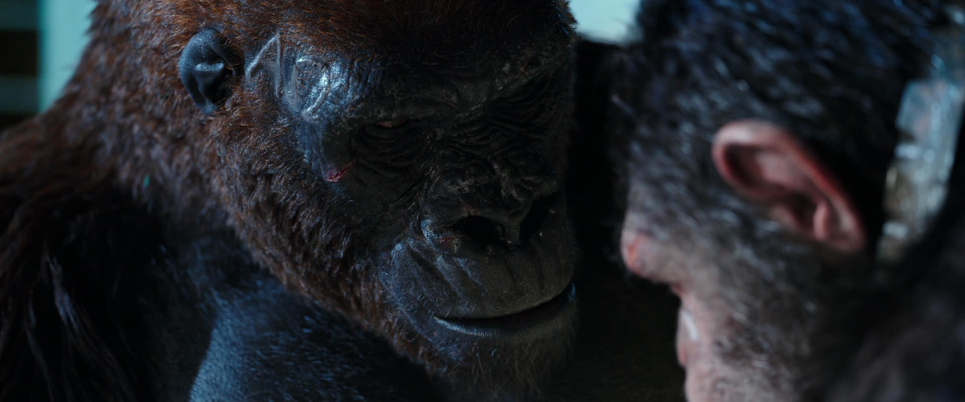 War for the Planet of the Apes (2017) movie still 11818