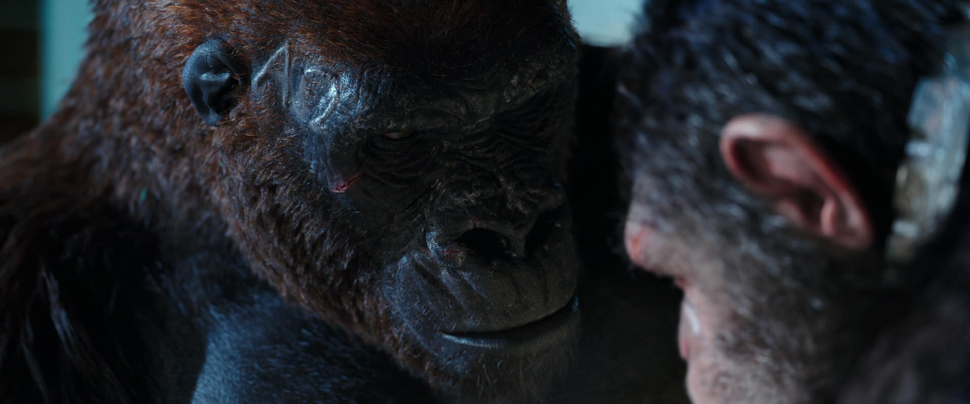 War for the Planet of the Apes (2017) HD screenshot 11819