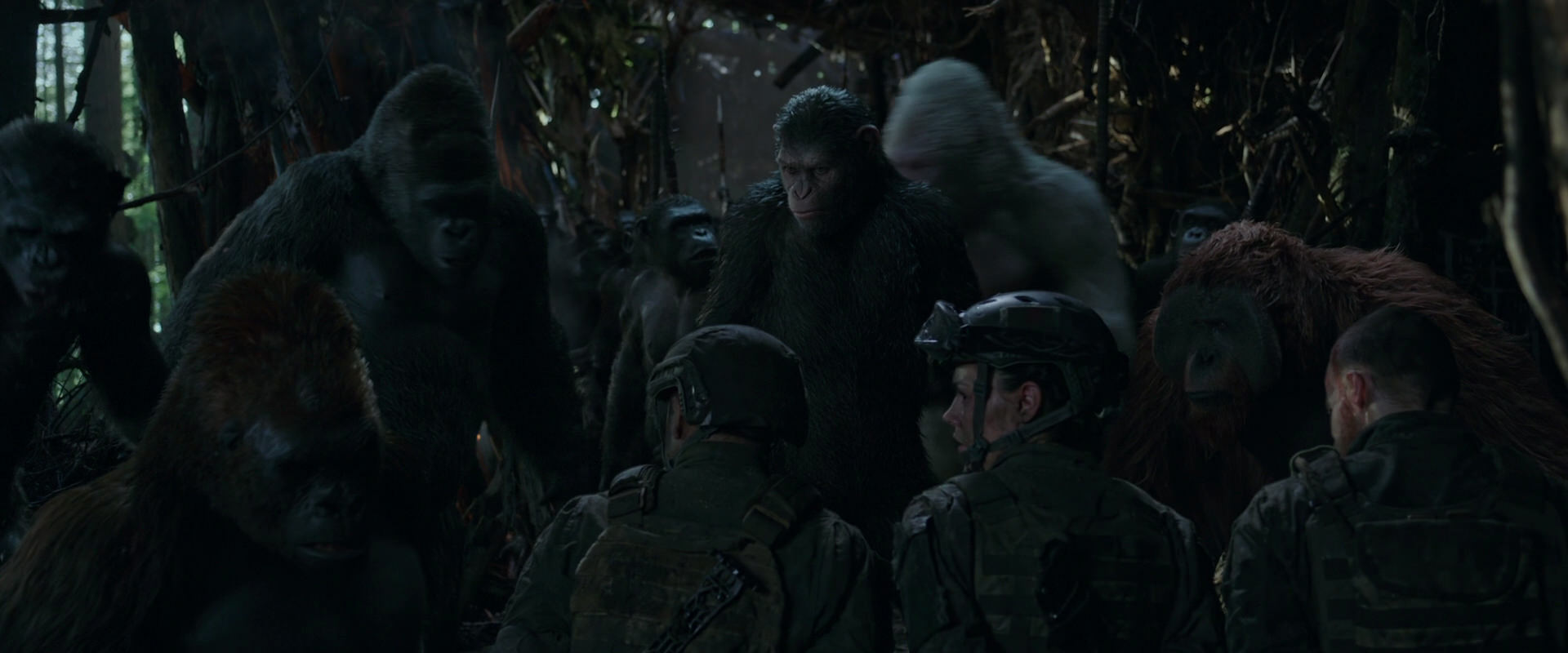 War for the Planet of the Apes (2017) screencap 1182