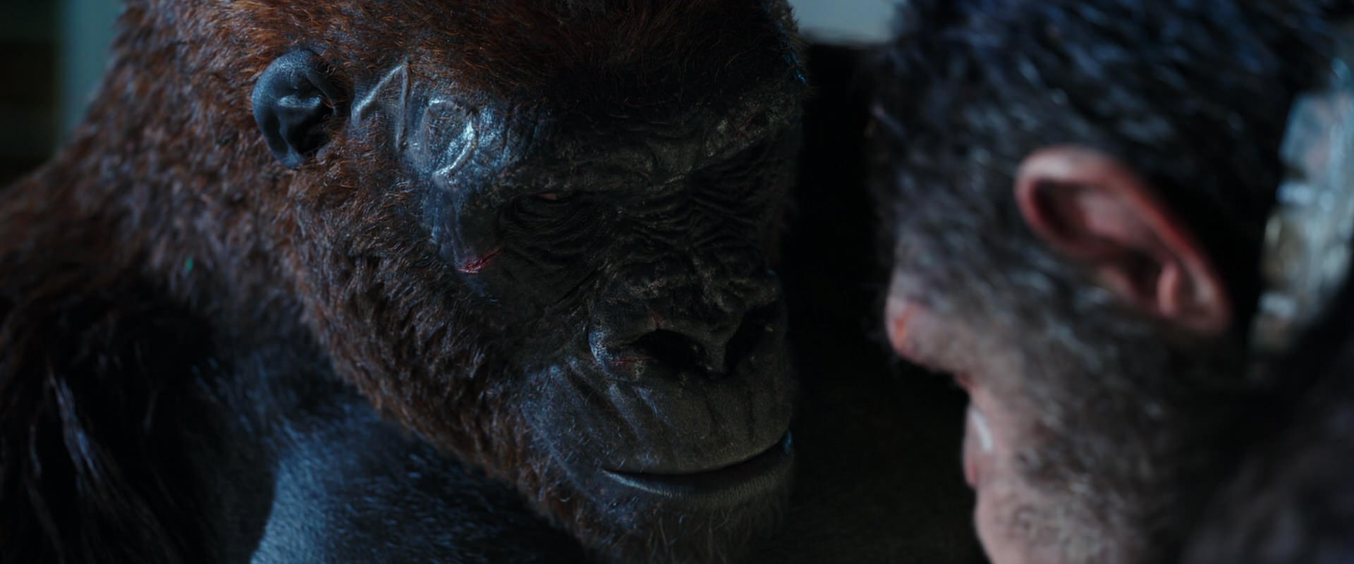 War for the Planet of the Apes (2017) screencap 11820