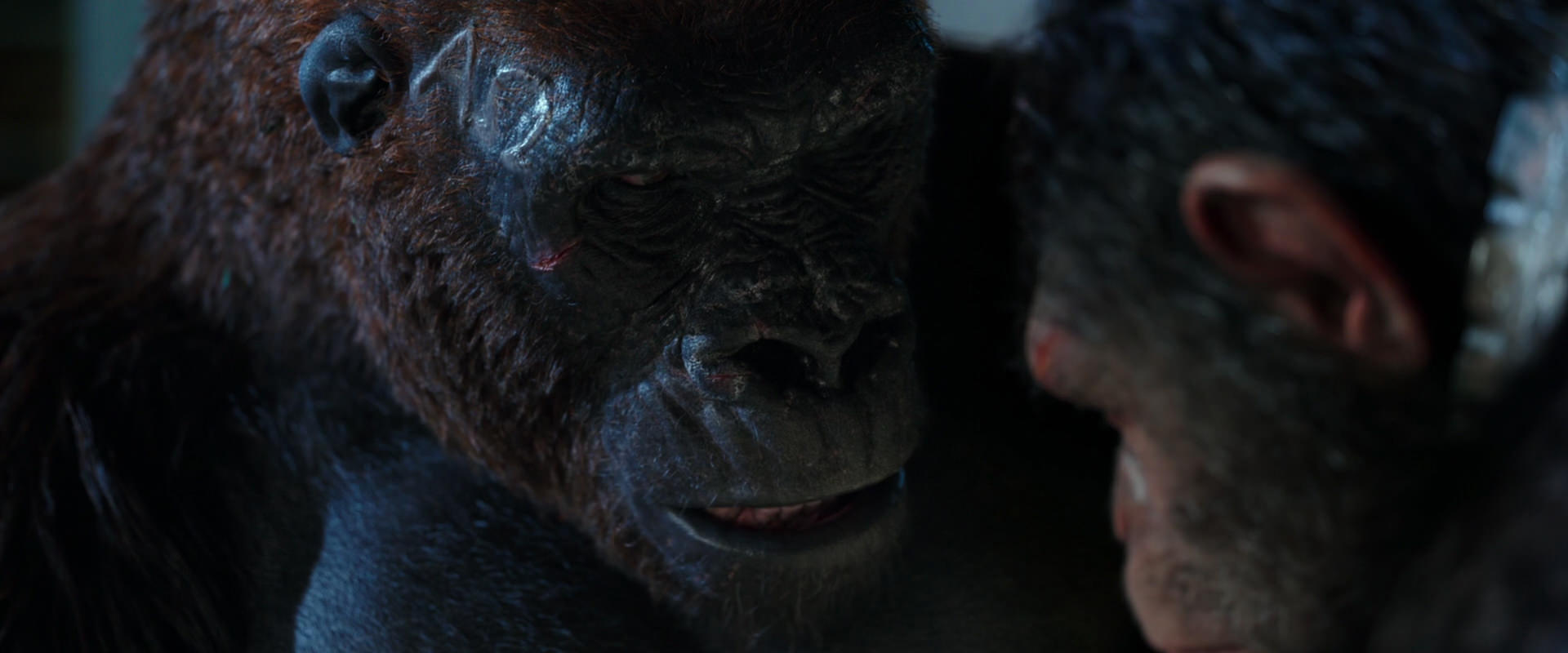 War for the Planet of the Apes (2017) movie still 11821