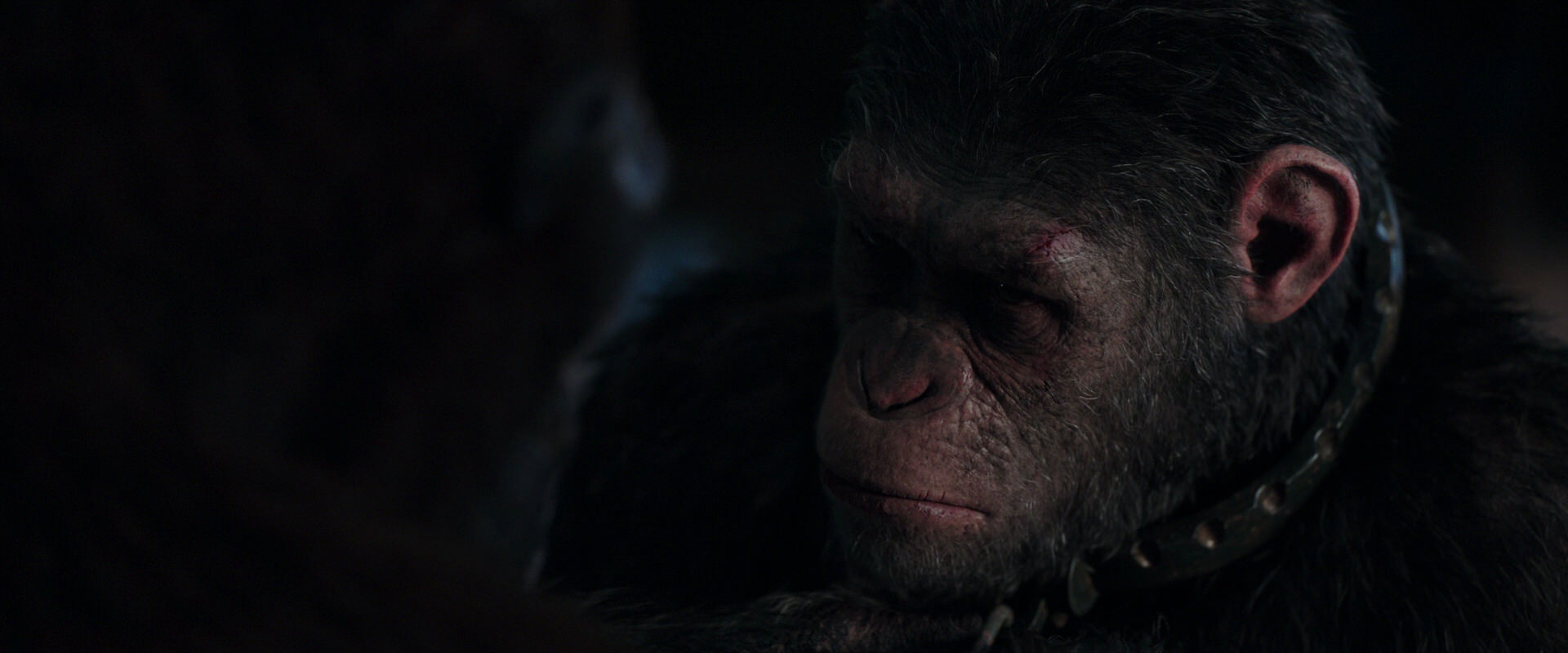 War for the Planet of the Apes (2017) HD screenshot 11822