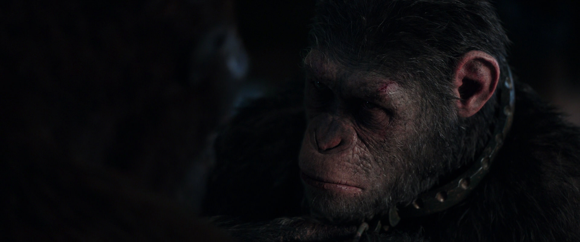 War for the Planet of the Apes (2017) screencap 11823