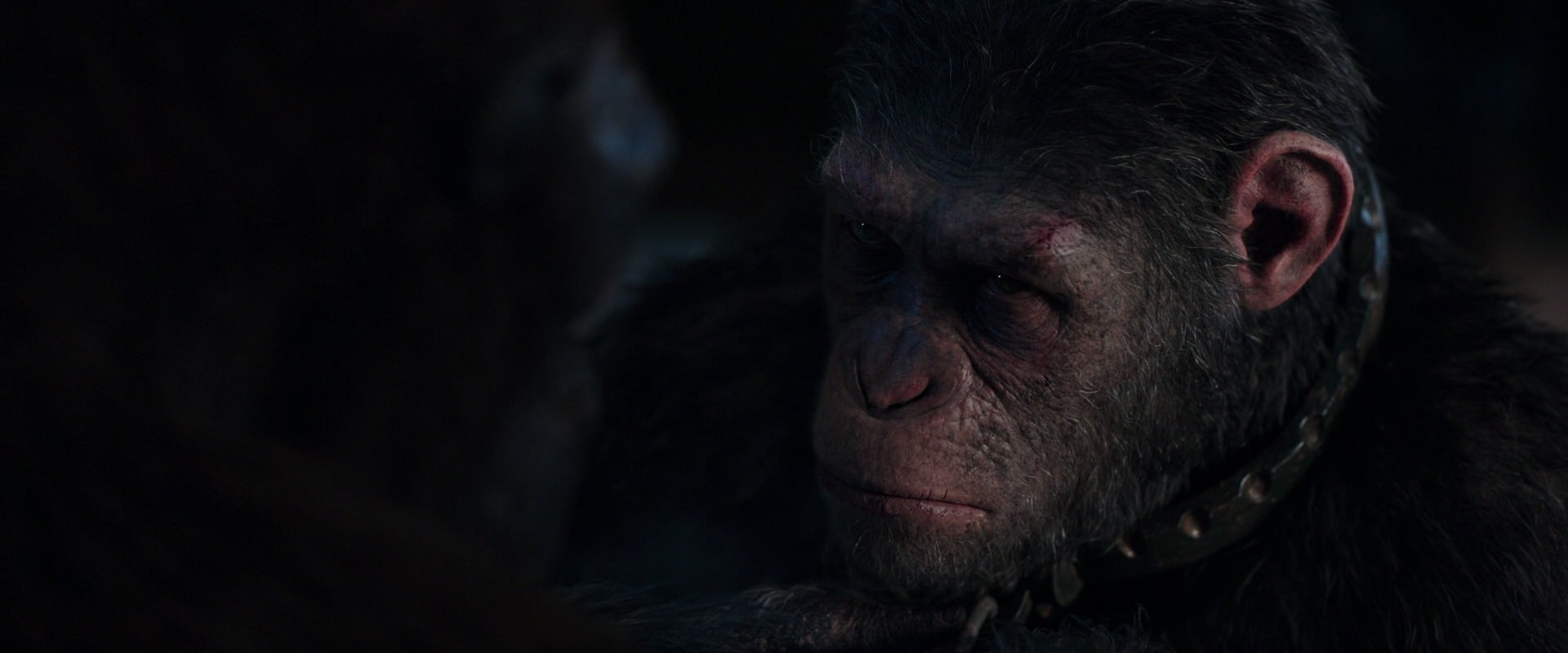 War for the Planet of the Apes (2017) movie still 11824