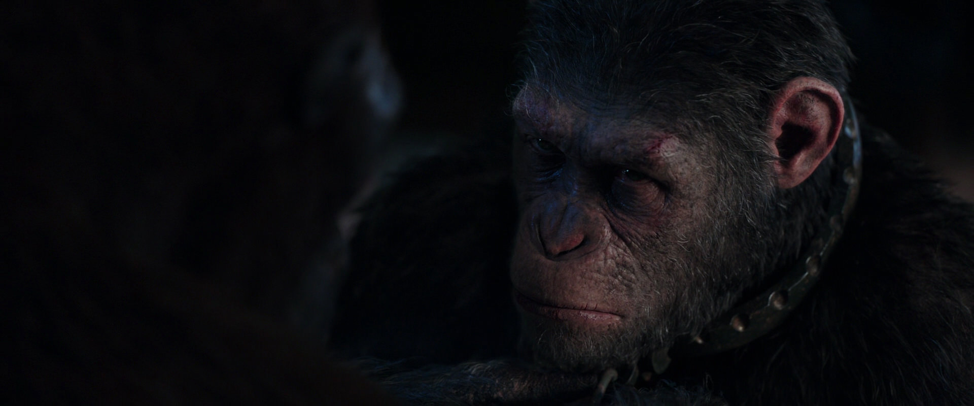 War for the Planet of the Apes (2017) HD screenshot 11825