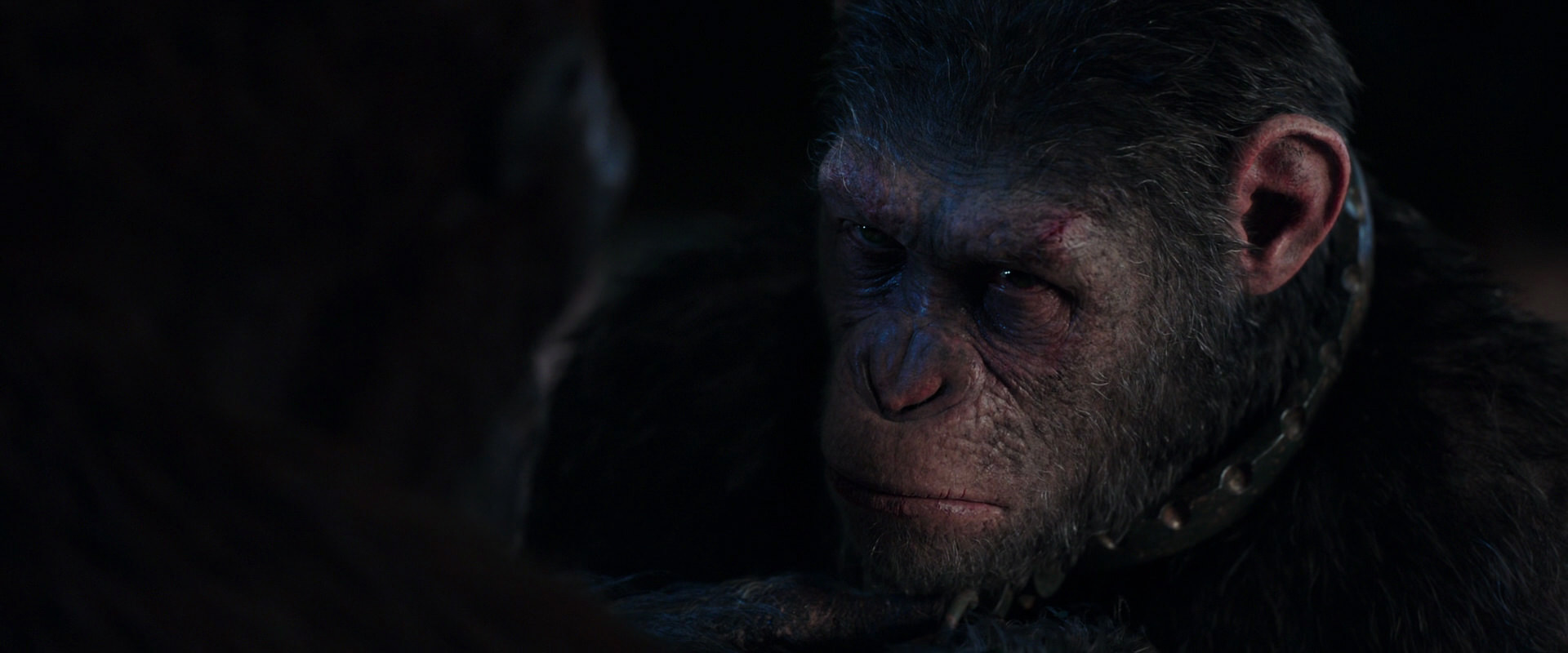 War for the Planet of the Apes (2017) screencap 11826