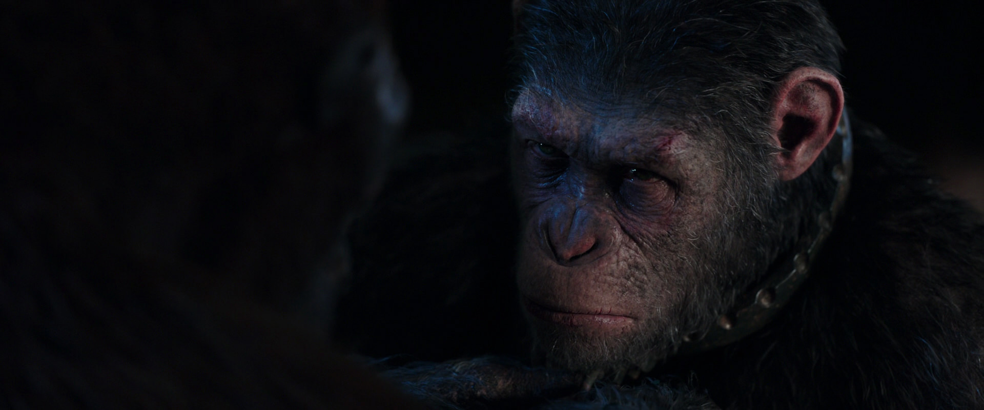War for the Planet of the Apes (2017) movie still 11827
