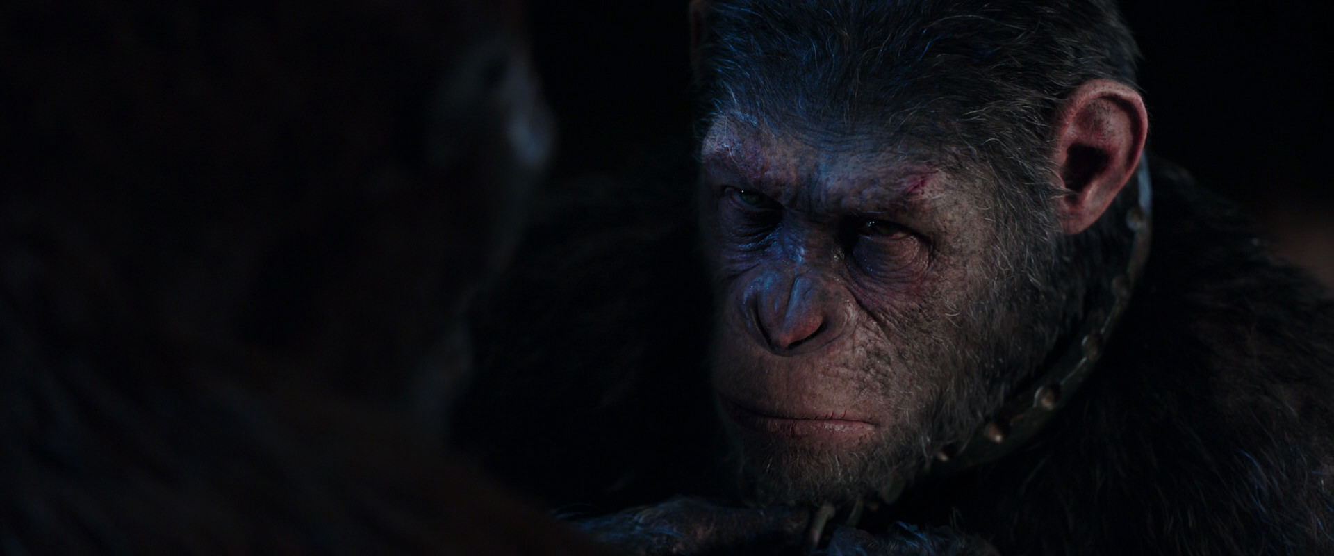 War for the Planet of the Apes (2017) HD screenshot 11828