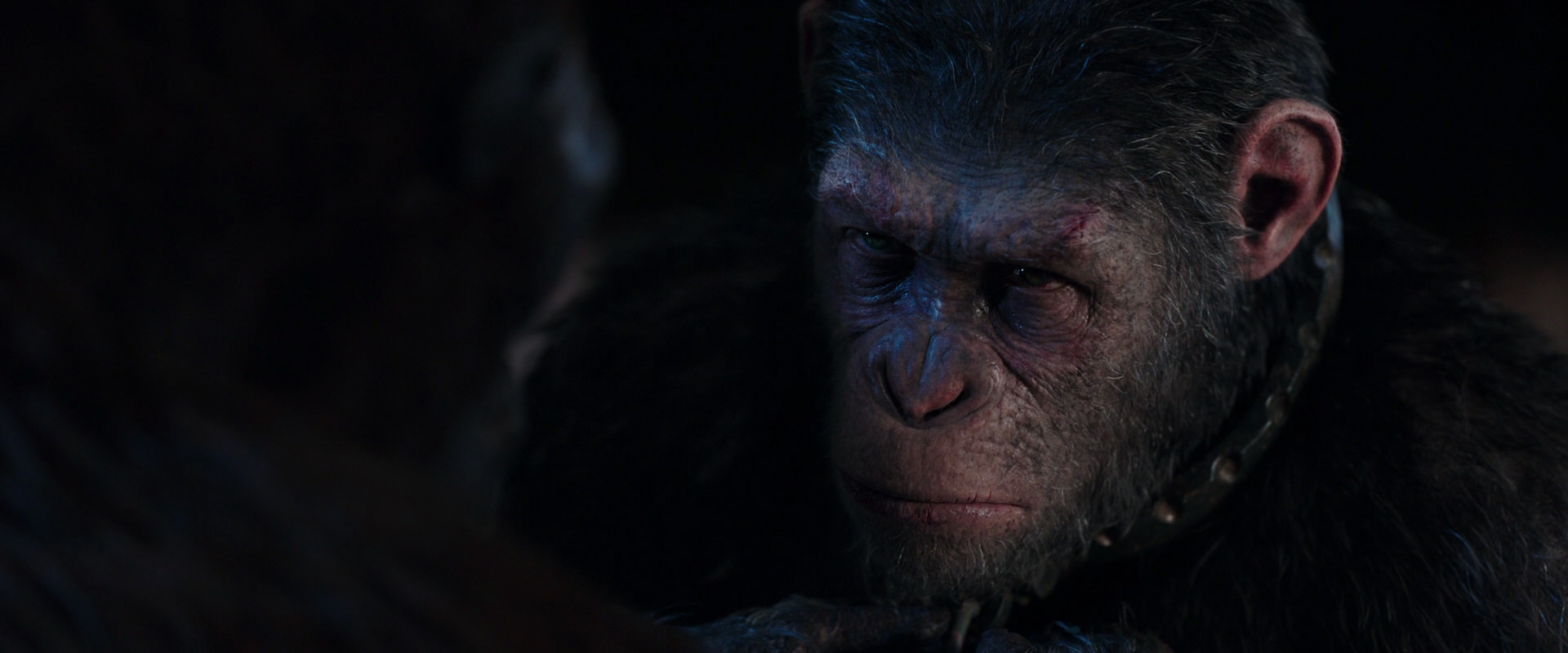 War for the Planet of the Apes (2017) screencap 11829