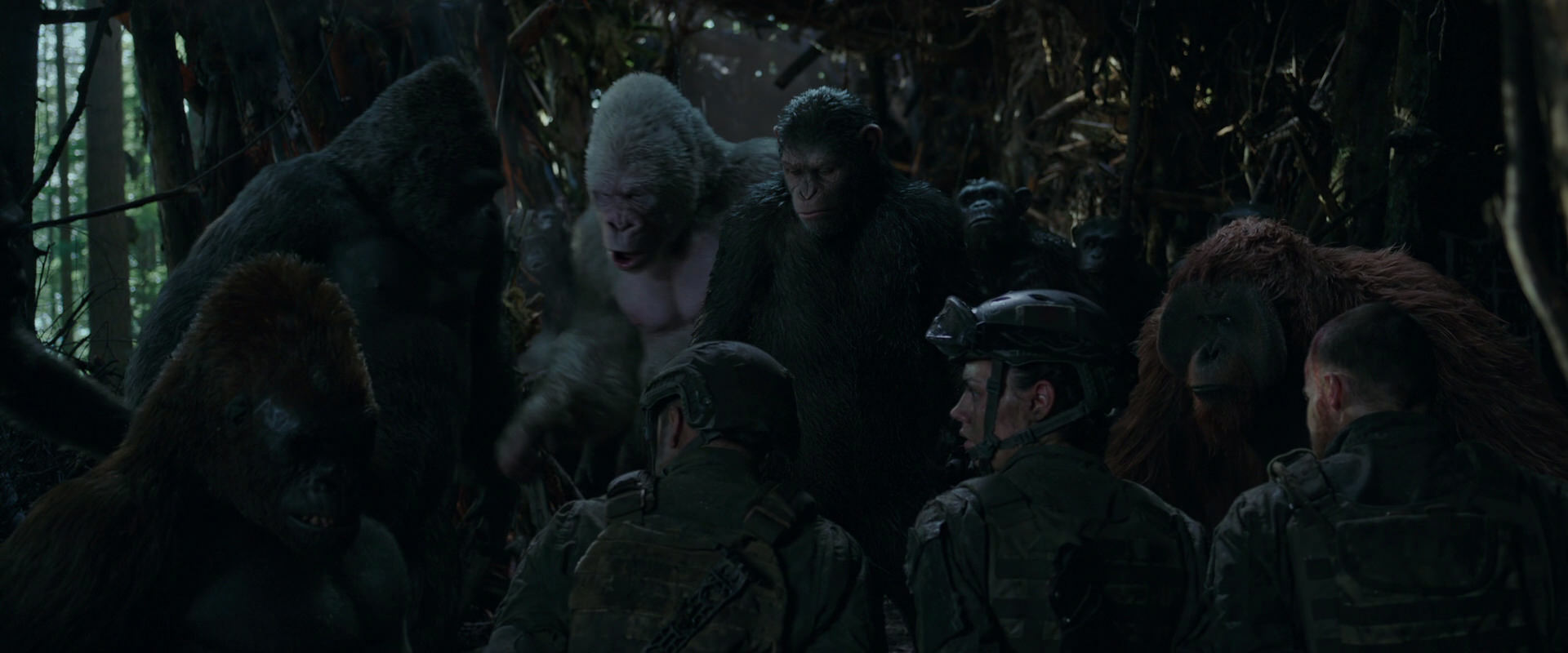 War for the Planet of the Apes (2017) movie still 1183