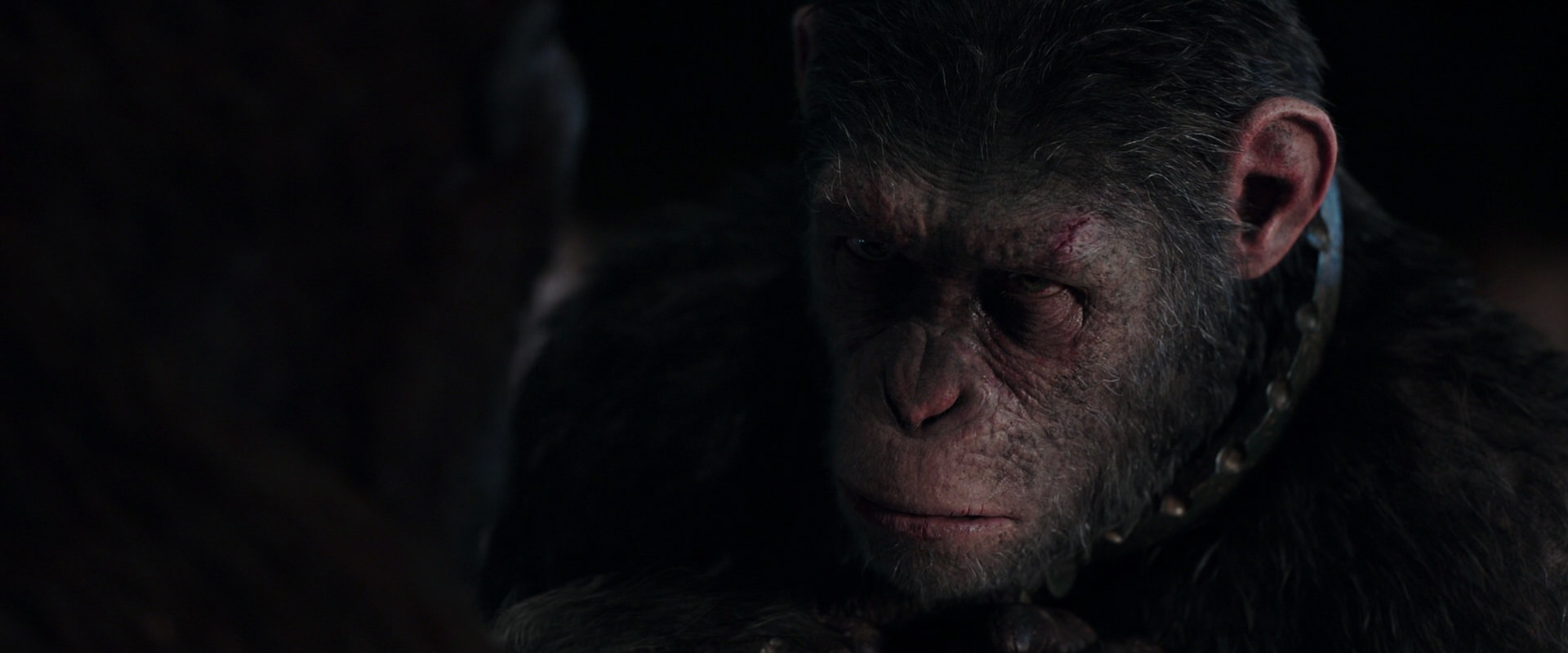 War for the Planet of the Apes (2017) movie still 11833