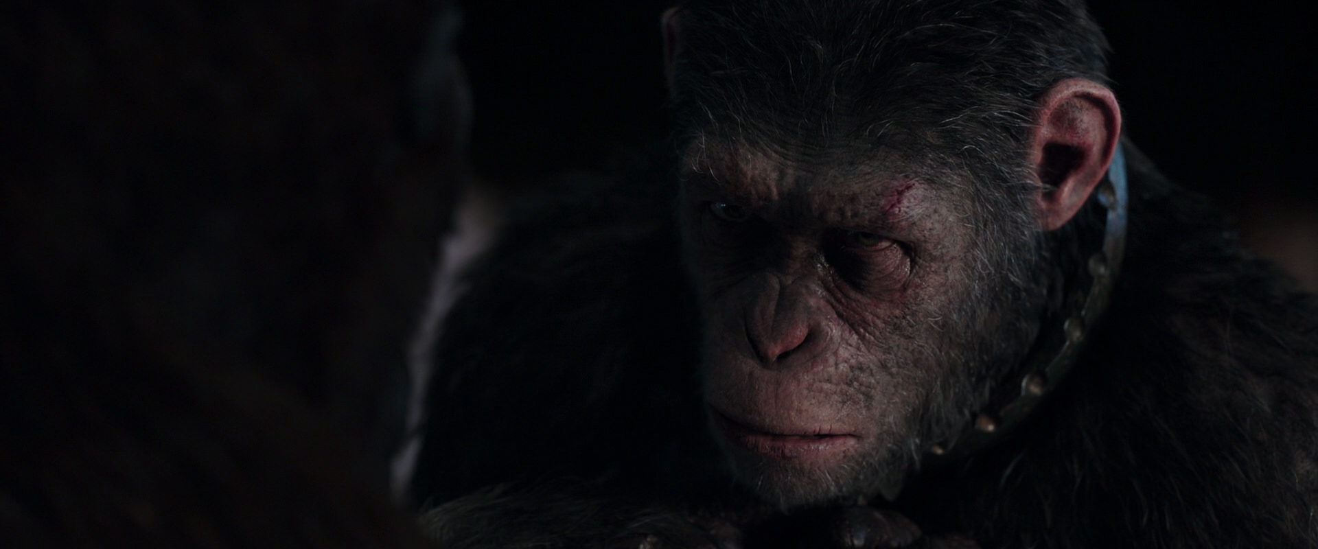War for the Planet of the Apes (2017) HD screenshot 11834