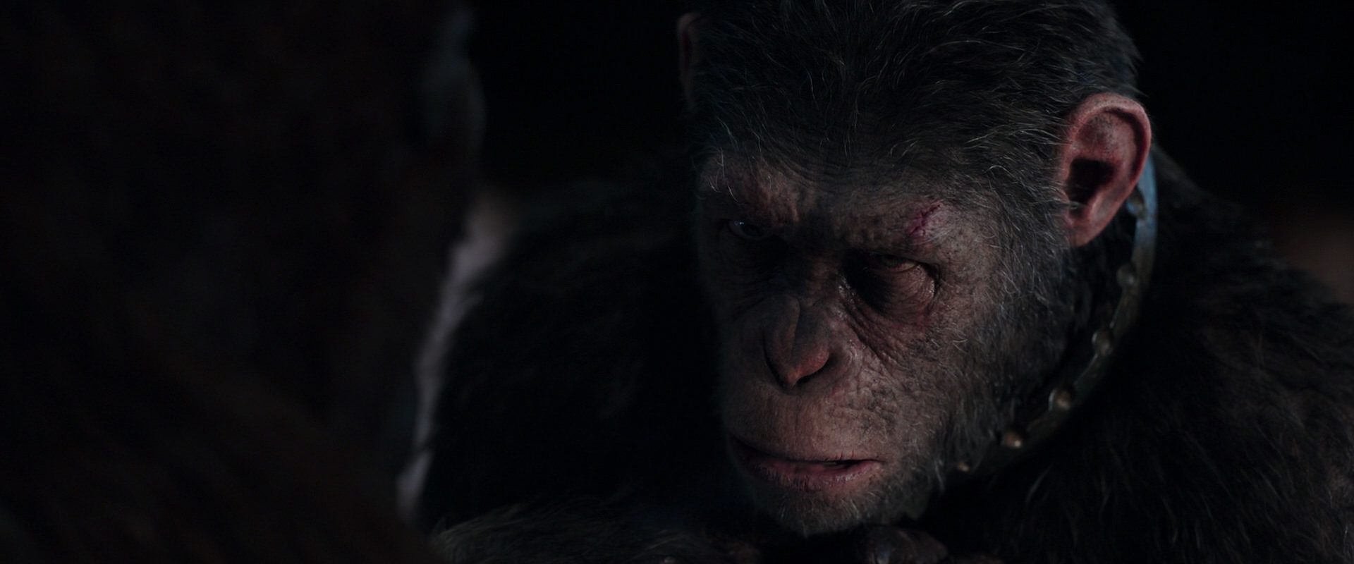 War for the Planet of the Apes (2017) screencap 11835