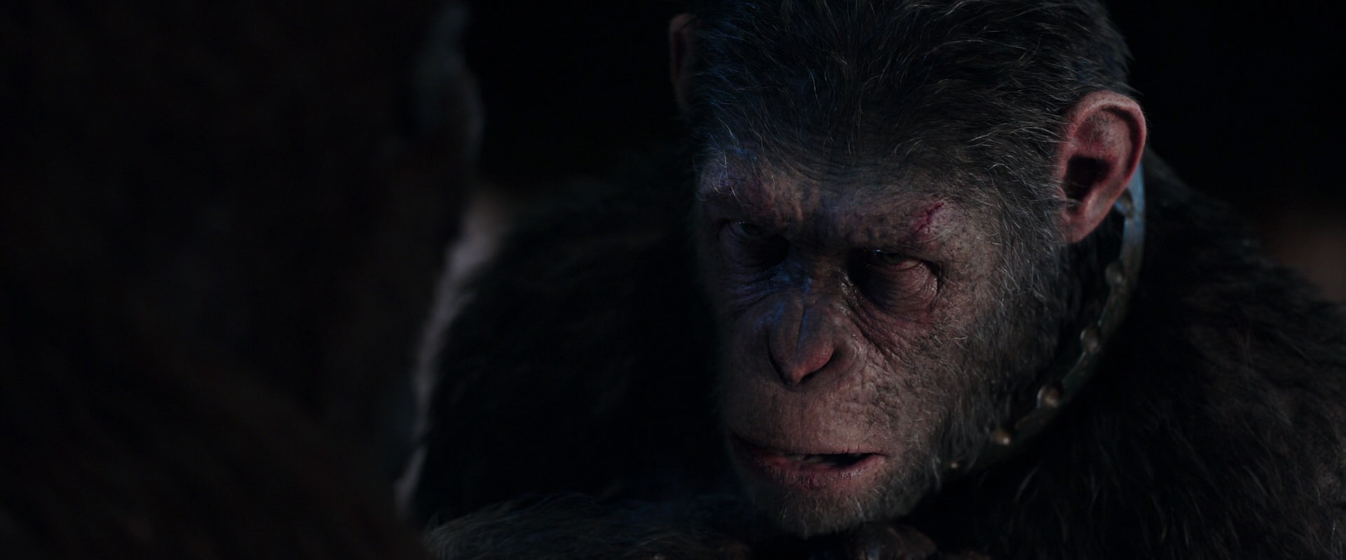 War for the Planet of the Apes (2017) movie still 11836