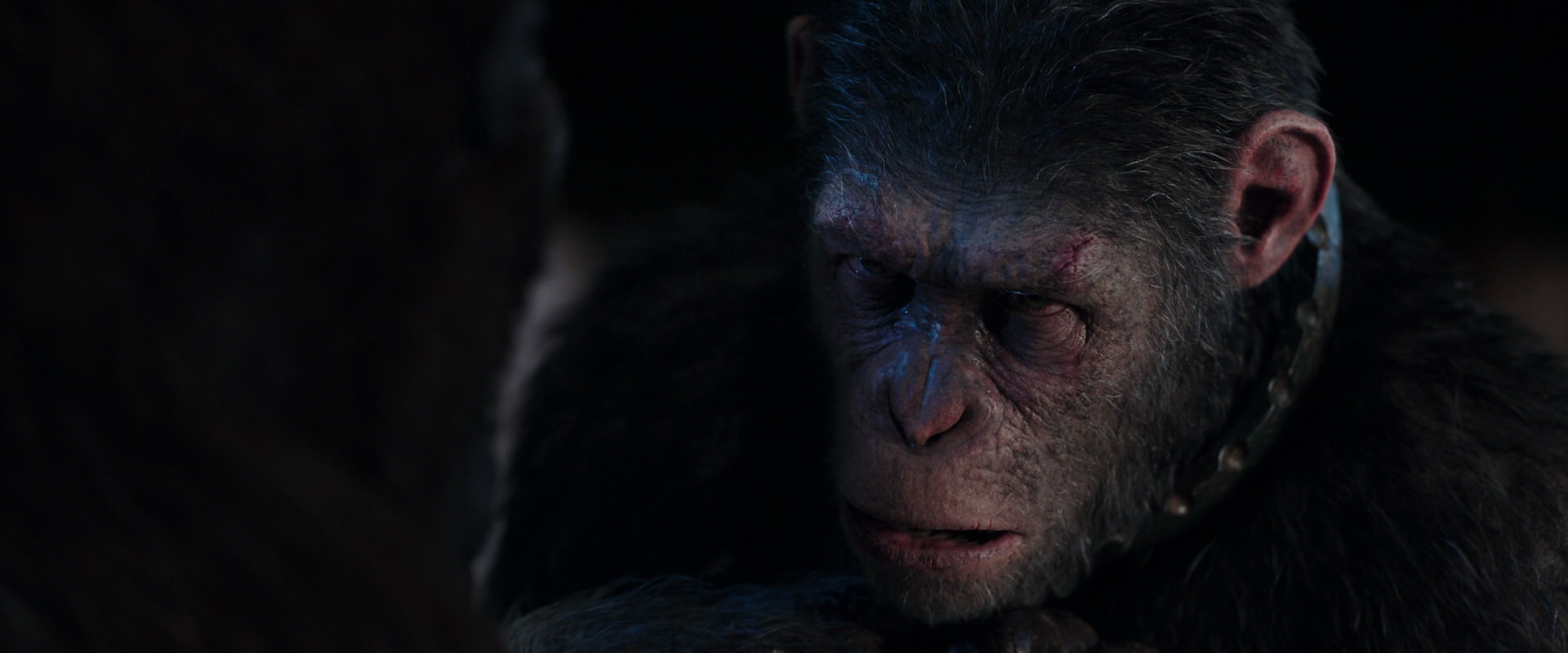 War for the Planet of the Apes (2017) HD screenshot 11837