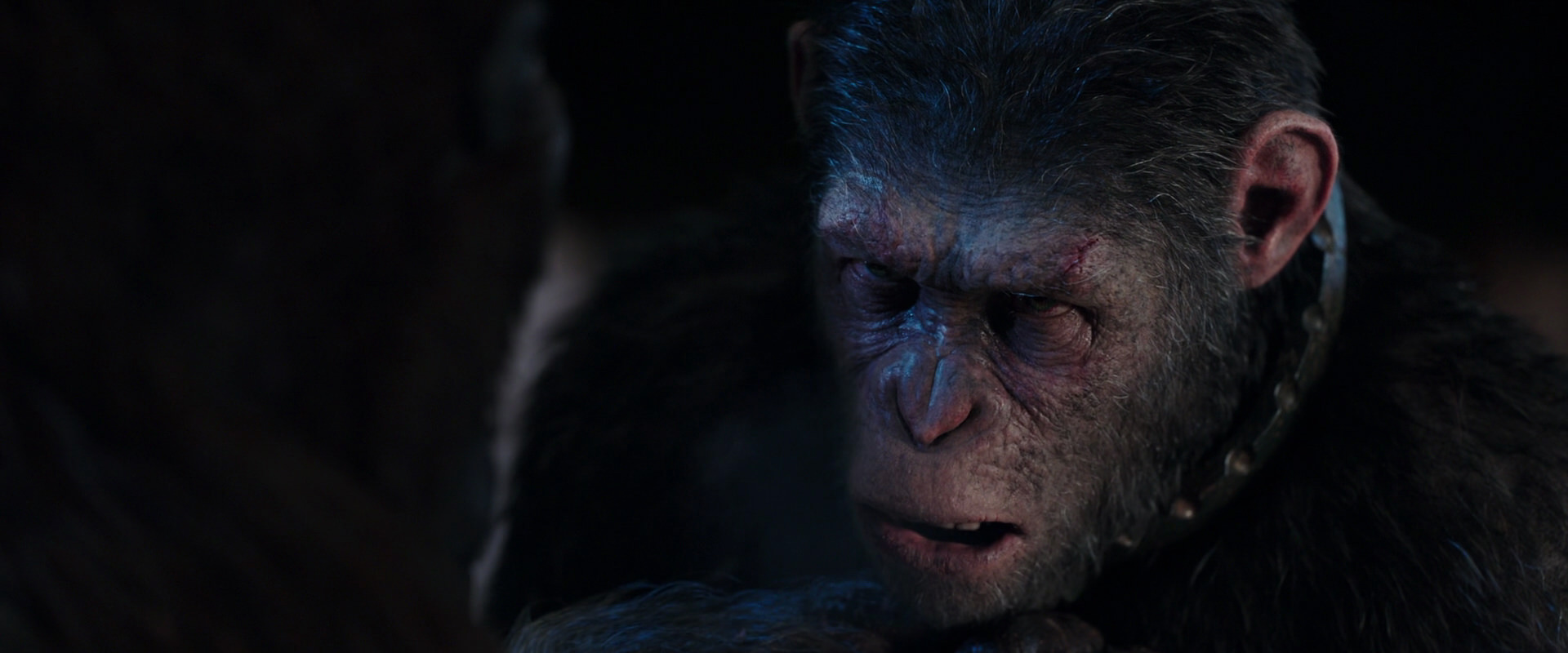 War for the Planet of the Apes (2017) screencap 11838