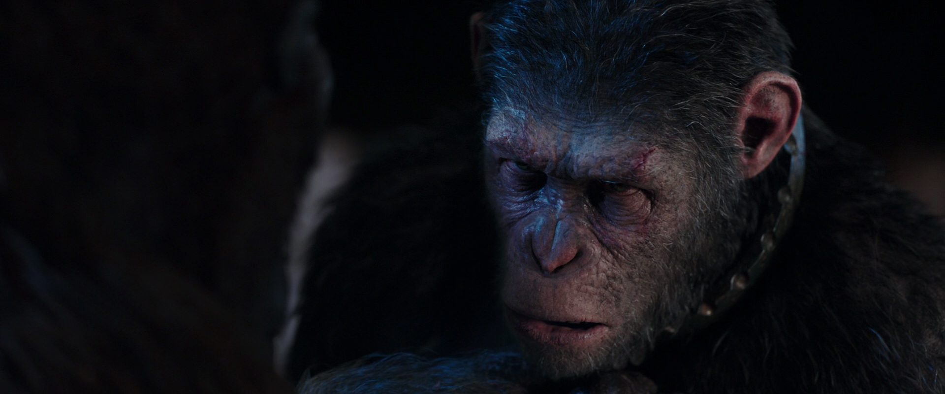 War for the Planet of the Apes (2017) movie still 11839