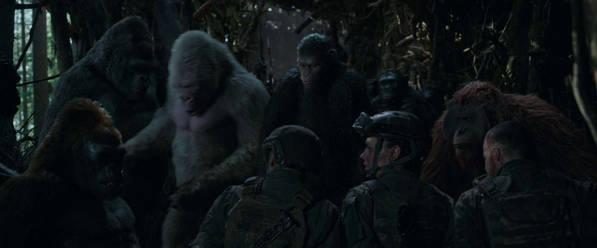 War for the Planet of the Apes (2017) HD screenshot 1184