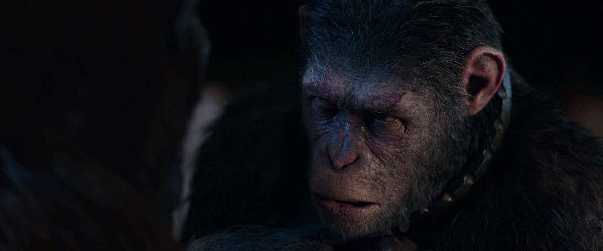 War for the Planet of the Apes (2017) HD screenshot 11840