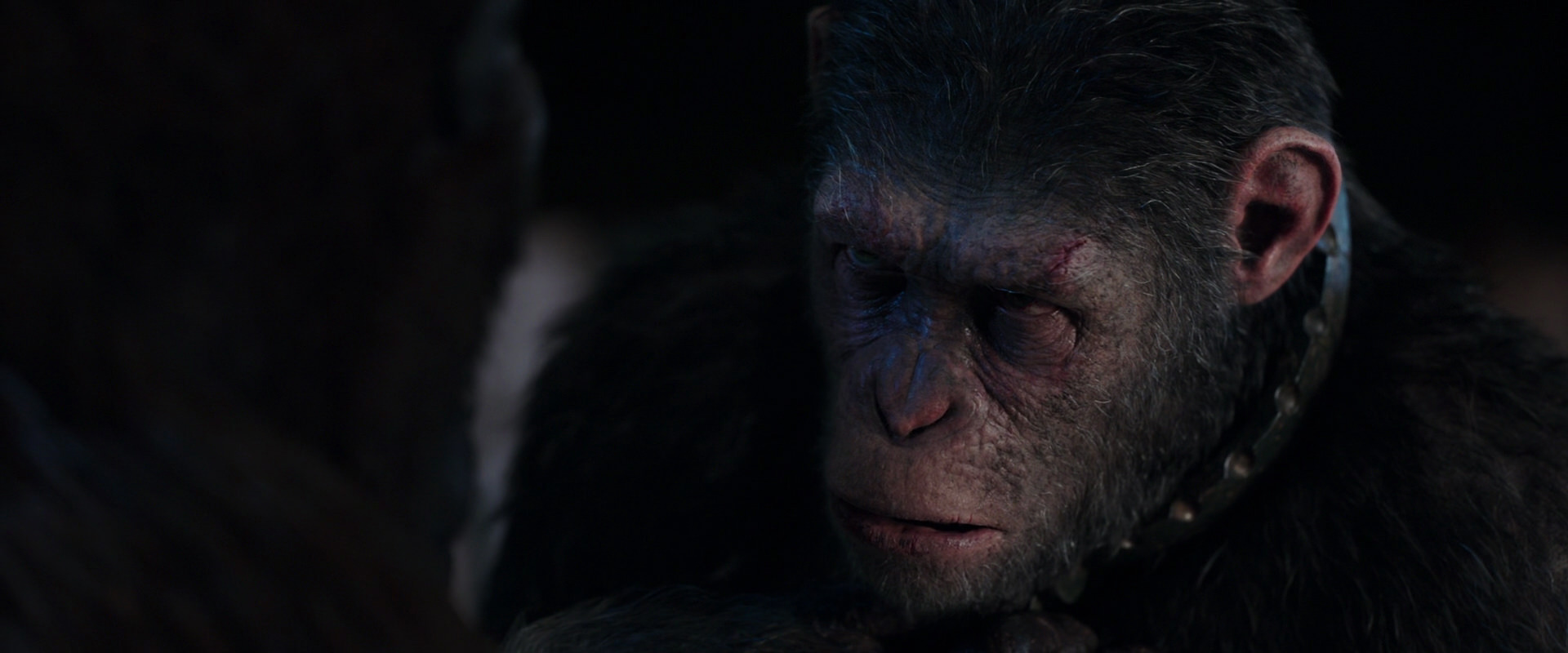 War for the Planet of the Apes (2017) screencap 11841